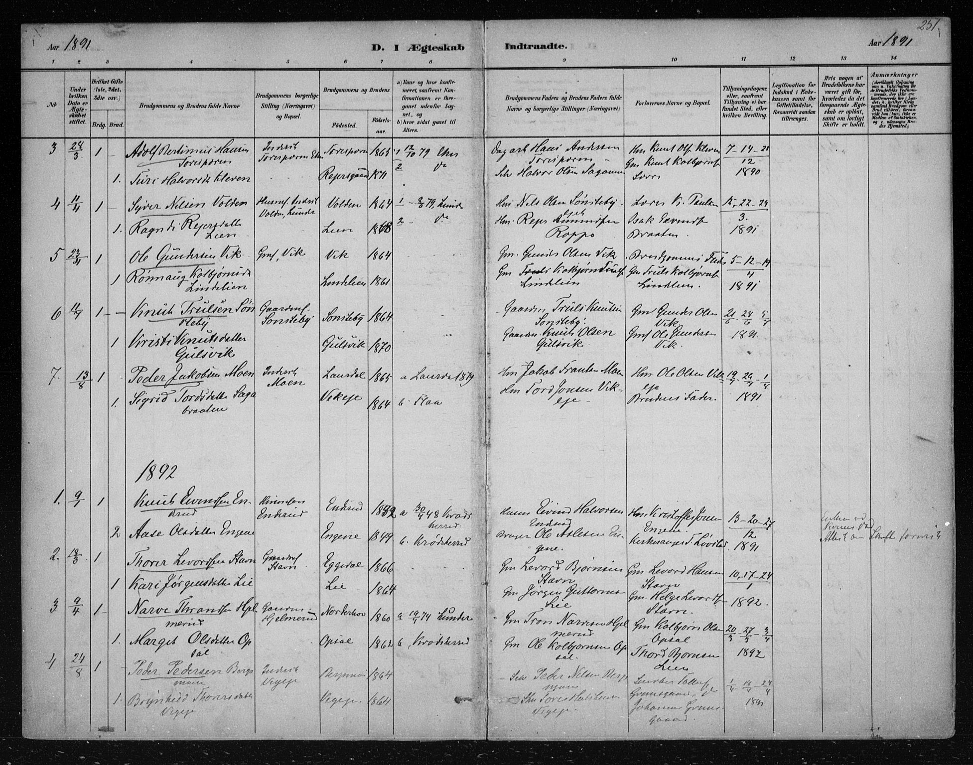 Nes kirkebøker, SAKO/A-236/F/Fa/L0012: Parish register (official) no. 12, 1881-1917, p. 251