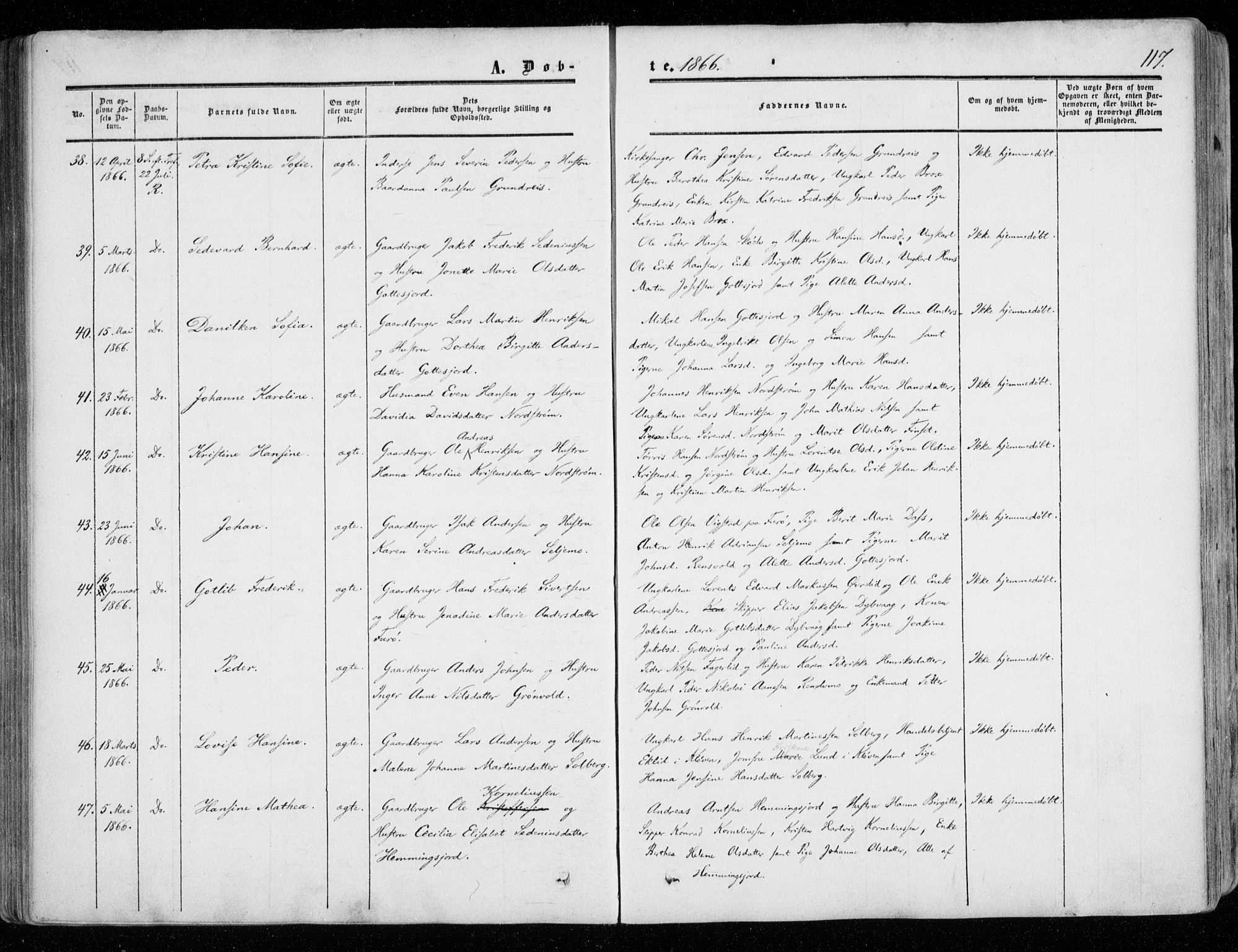 Tranøy sokneprestkontor, AV/SATØ-S-1313/I/Ia/Iaa/L0007kirke: Parish register (official) no. 7, 1856-1866, p. 117