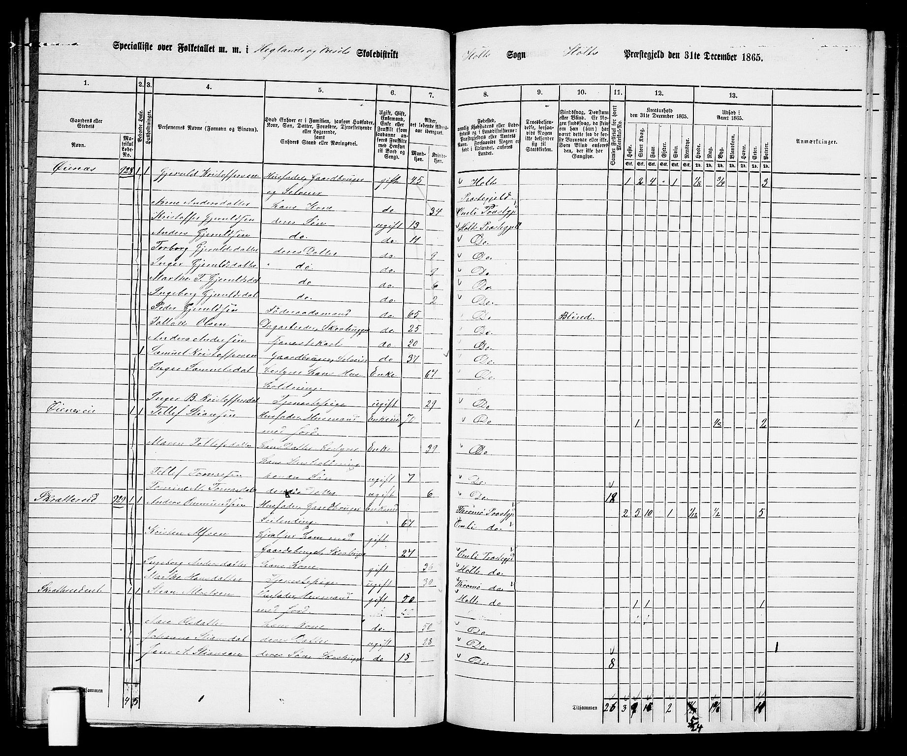 RA, 1865 census for Holt/Holt, 1865, p. 133