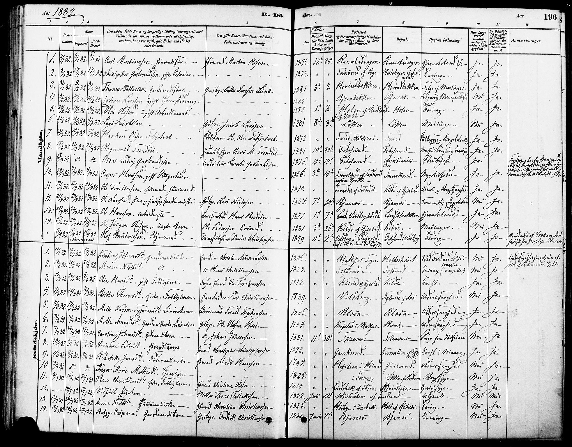 Fet prestekontor Kirkebøker, SAO/A-10370a/F/Fa/L0014: Parish register (official) no. I 14, 1878-1891, p. 196