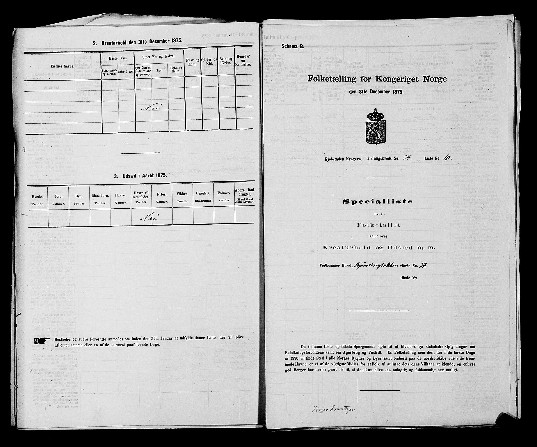 SAKO, 1875 census for 0801P Kragerø, 1875, p. 707