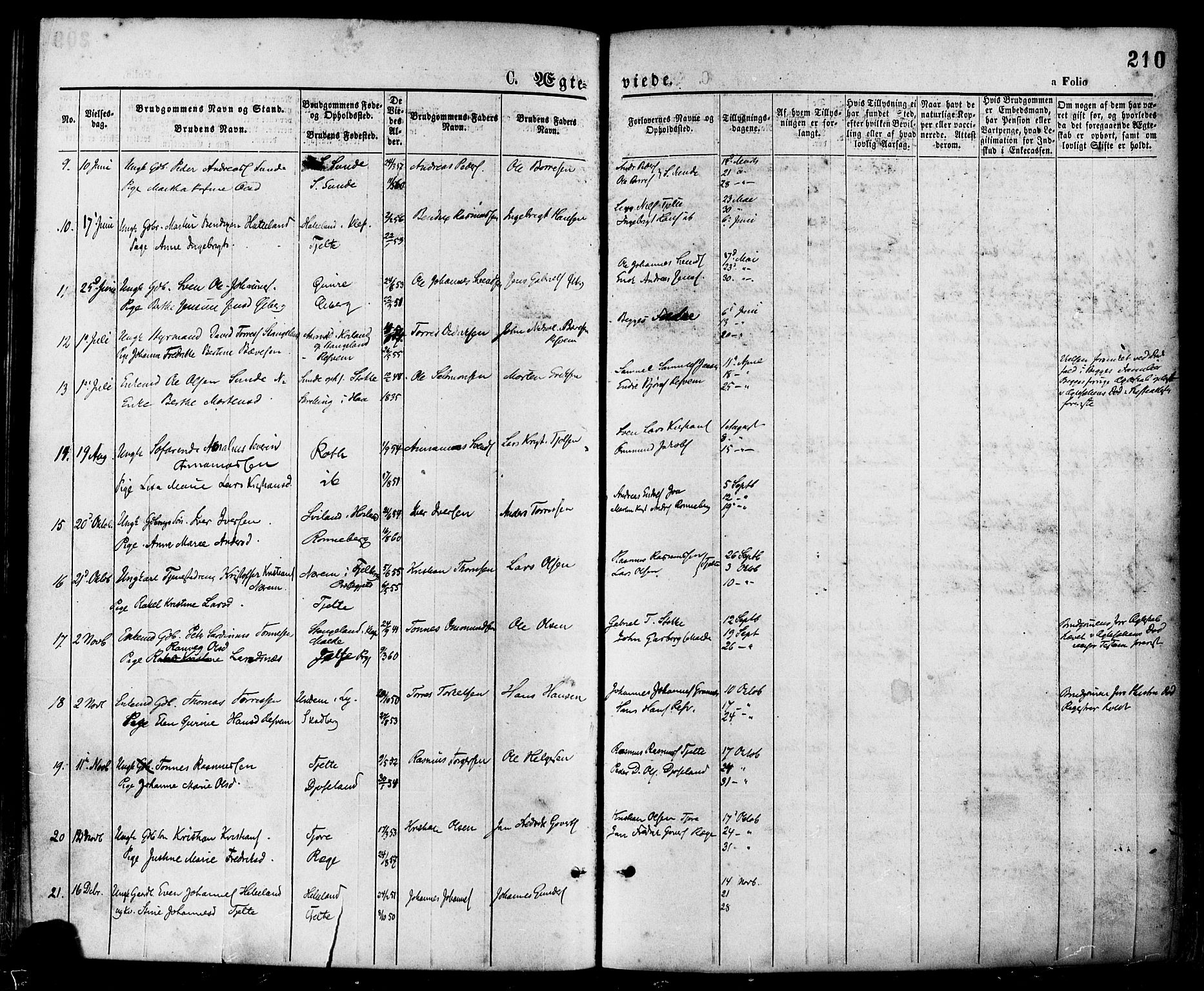 Håland sokneprestkontor, SAST/A-101802/001/30BA/L0009: Parish register (official) no. A 8, 1871-1882, p. 210