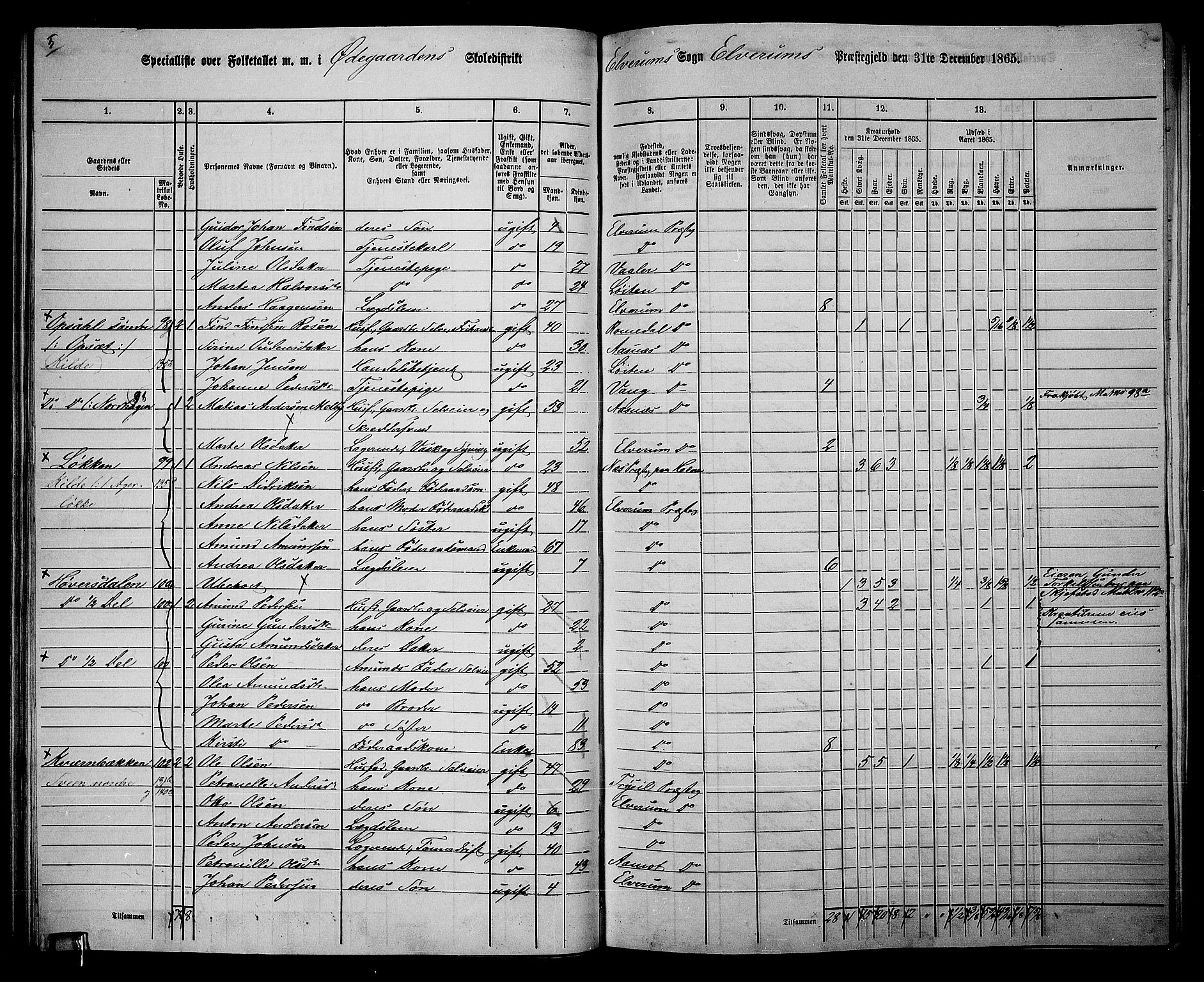 RA, 1865 census for Elverum, 1865, p. 60