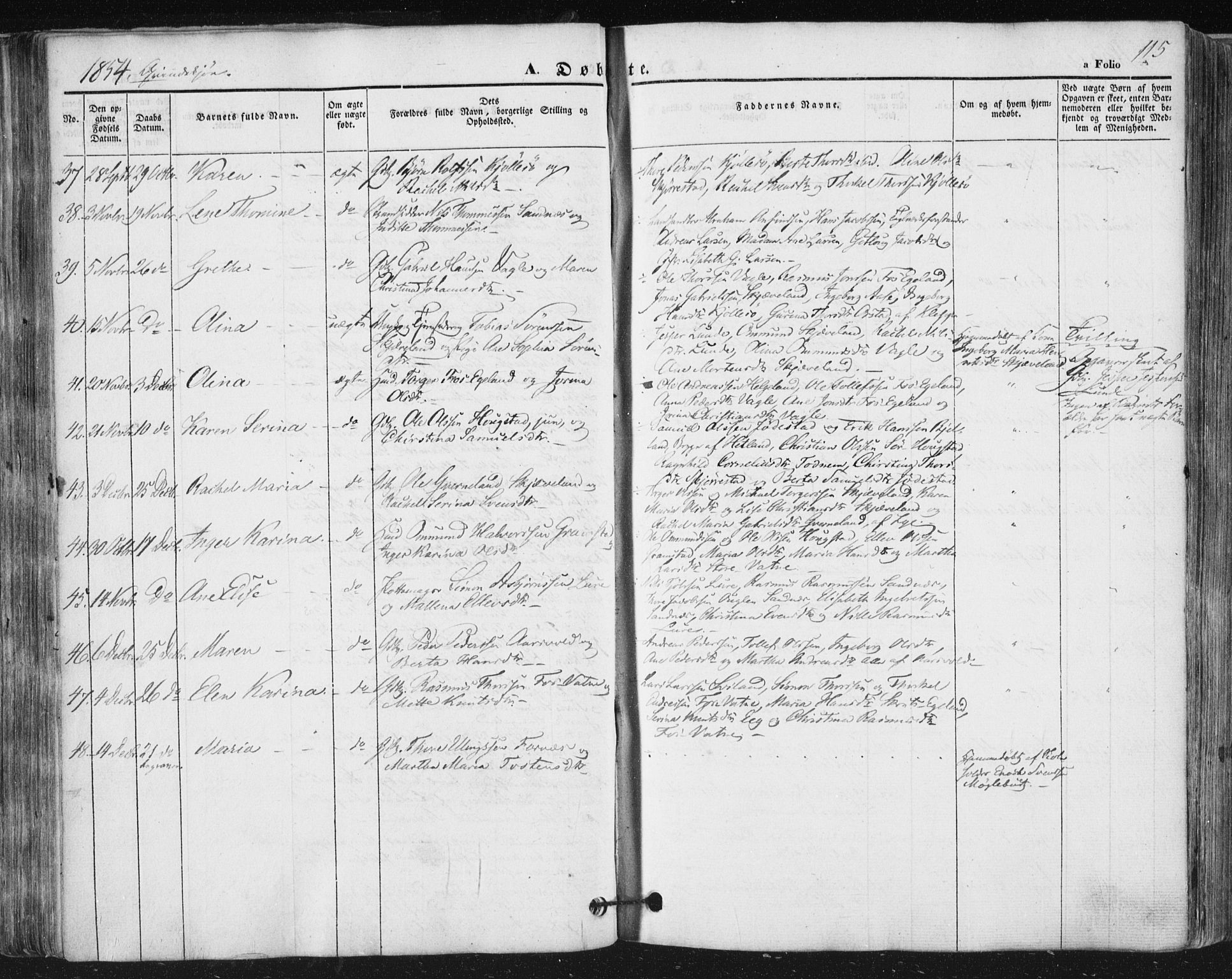 Høyland sokneprestkontor, SAST/A-101799/001/30BA/L0008: Parish register (official) no. A 8, 1841-1856, p. 115