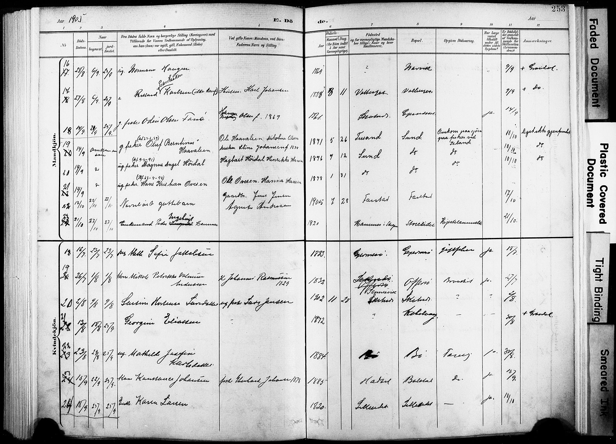 Ministerialprotokoller, klokkerbøker og fødselsregistre - Nordland, AV/SAT-A-1459/881/L1151: Parish register (official) no. 881A04, 1899-1907, p. 253