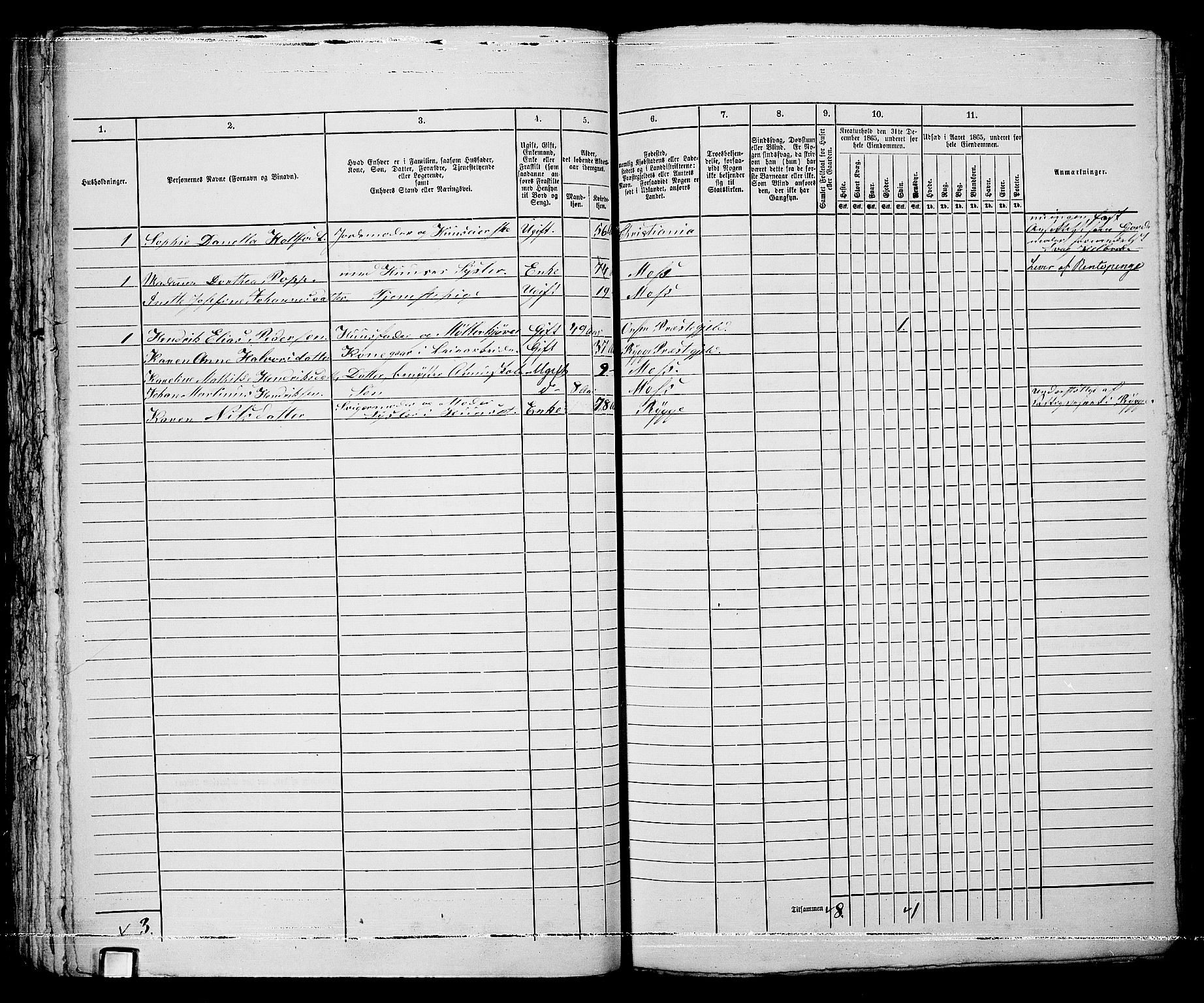 RA, 1865 census for Moss/Moss, 1865, p. 471