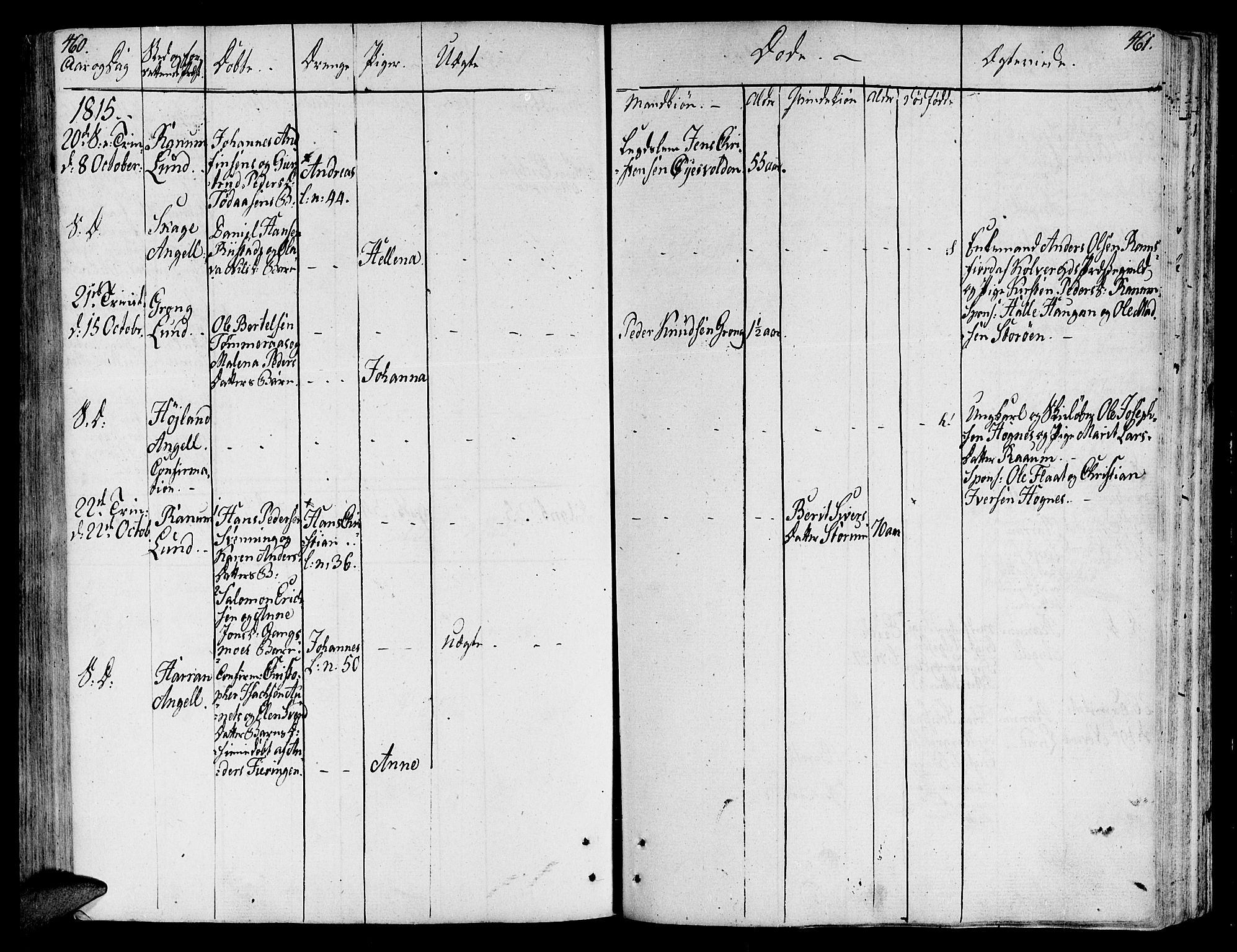 Ministerialprotokoller, klokkerbøker og fødselsregistre - Nord-Trøndelag, SAT/A-1458/764/L0545: Parish register (official) no. 764A05, 1799-1816, p. 460-461