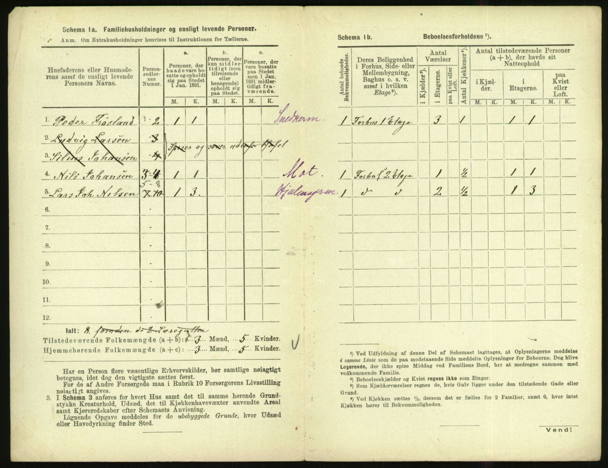 RA, 1891 census for 1002 Mandal, 1891, p. 732