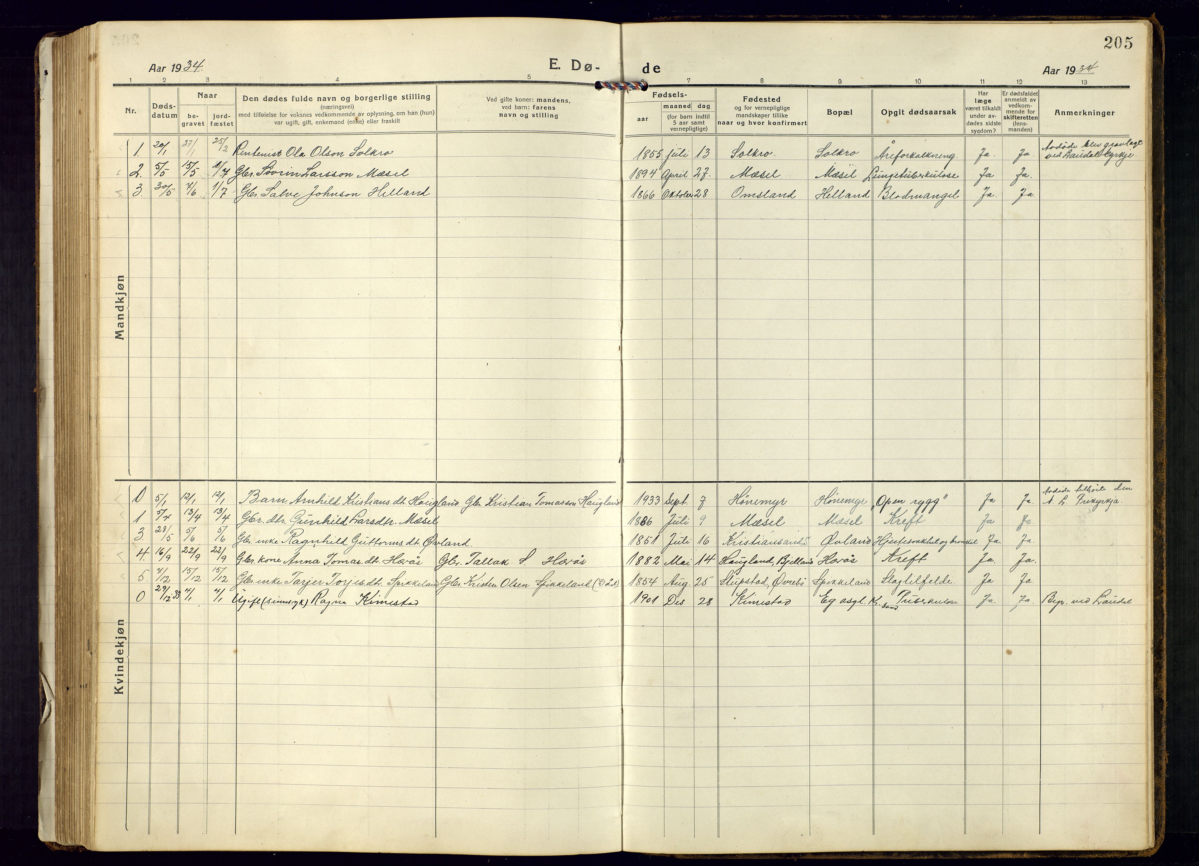 Bjelland sokneprestkontor, SAK/1111-0005/F/Fb/Fbb/L0006: Parish register (copy) no. B-6, 1918-1946, p. 205
