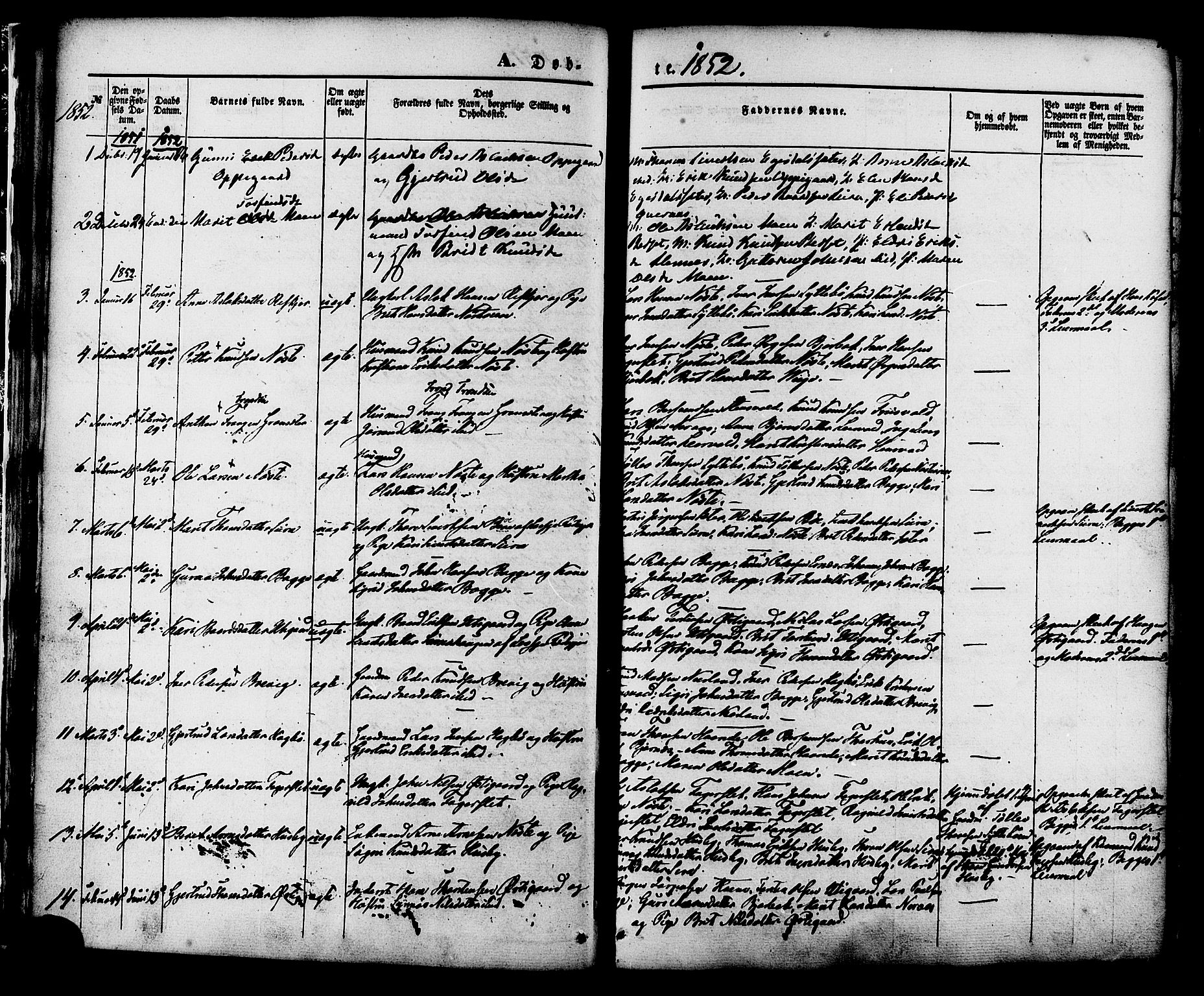 Ministerialprotokoller, klokkerbøker og fødselsregistre - Møre og Romsdal, AV/SAT-A-1454/552/L0637: Parish register (official) no. 552A01, 1845-1879, p. 17