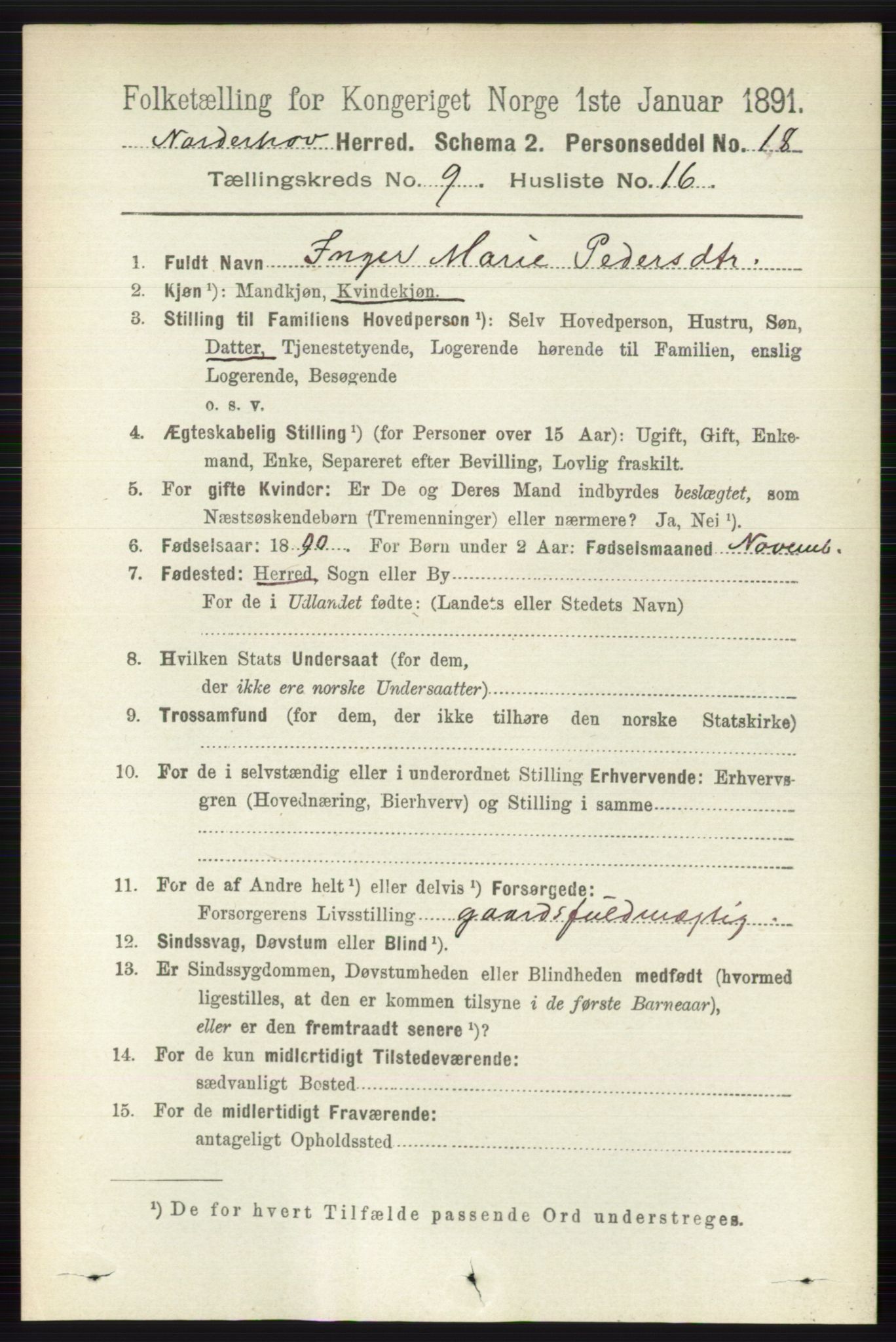 RA, 1891 census for 0613 Norderhov, 1891, p. 6703