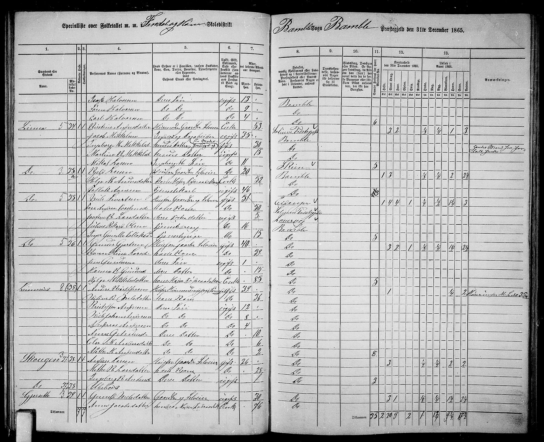 RA, 1865 census for Bamble, 1865, p. 63