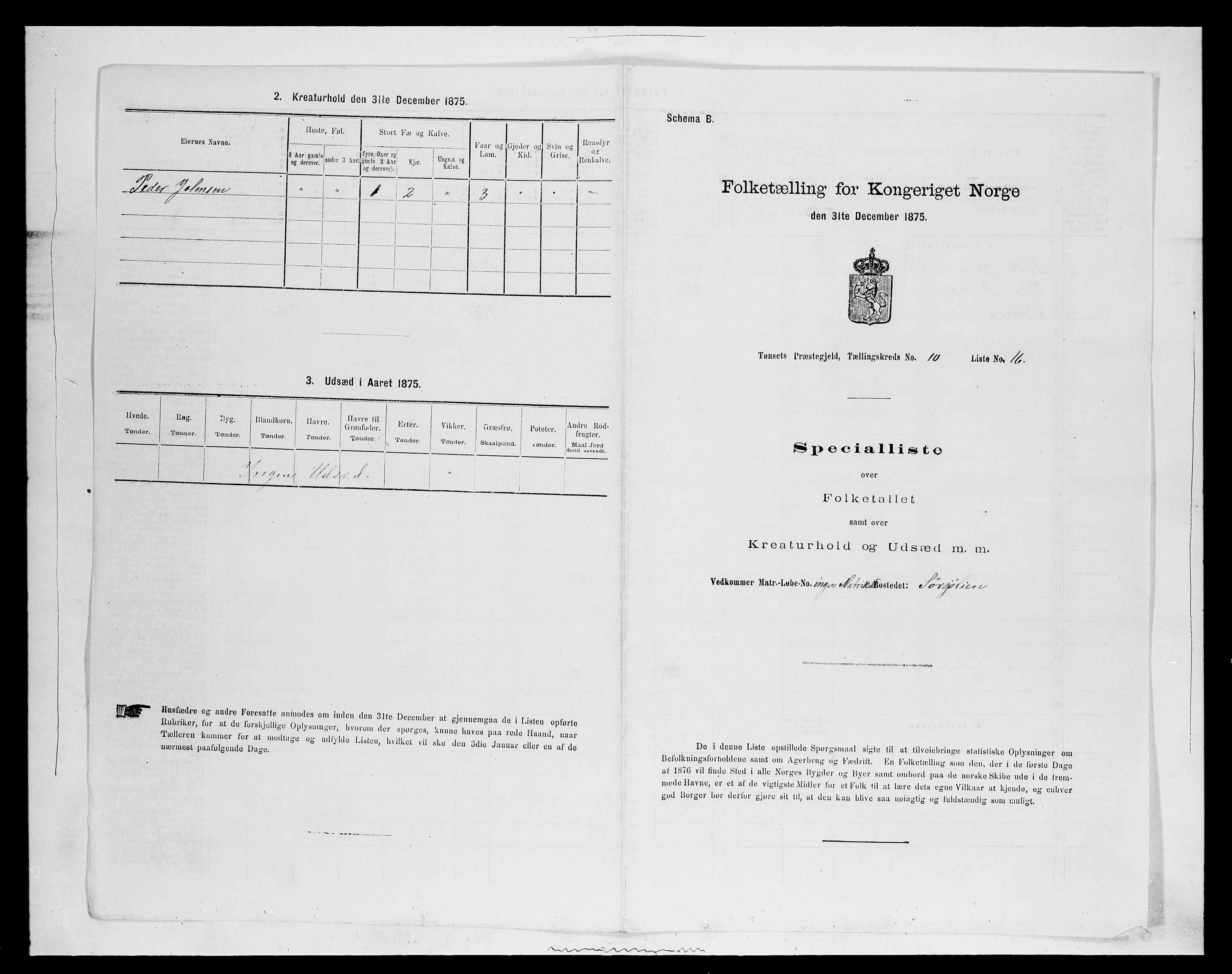 SAH, 1875 census for 0437P Tynset, 1875, p. 994