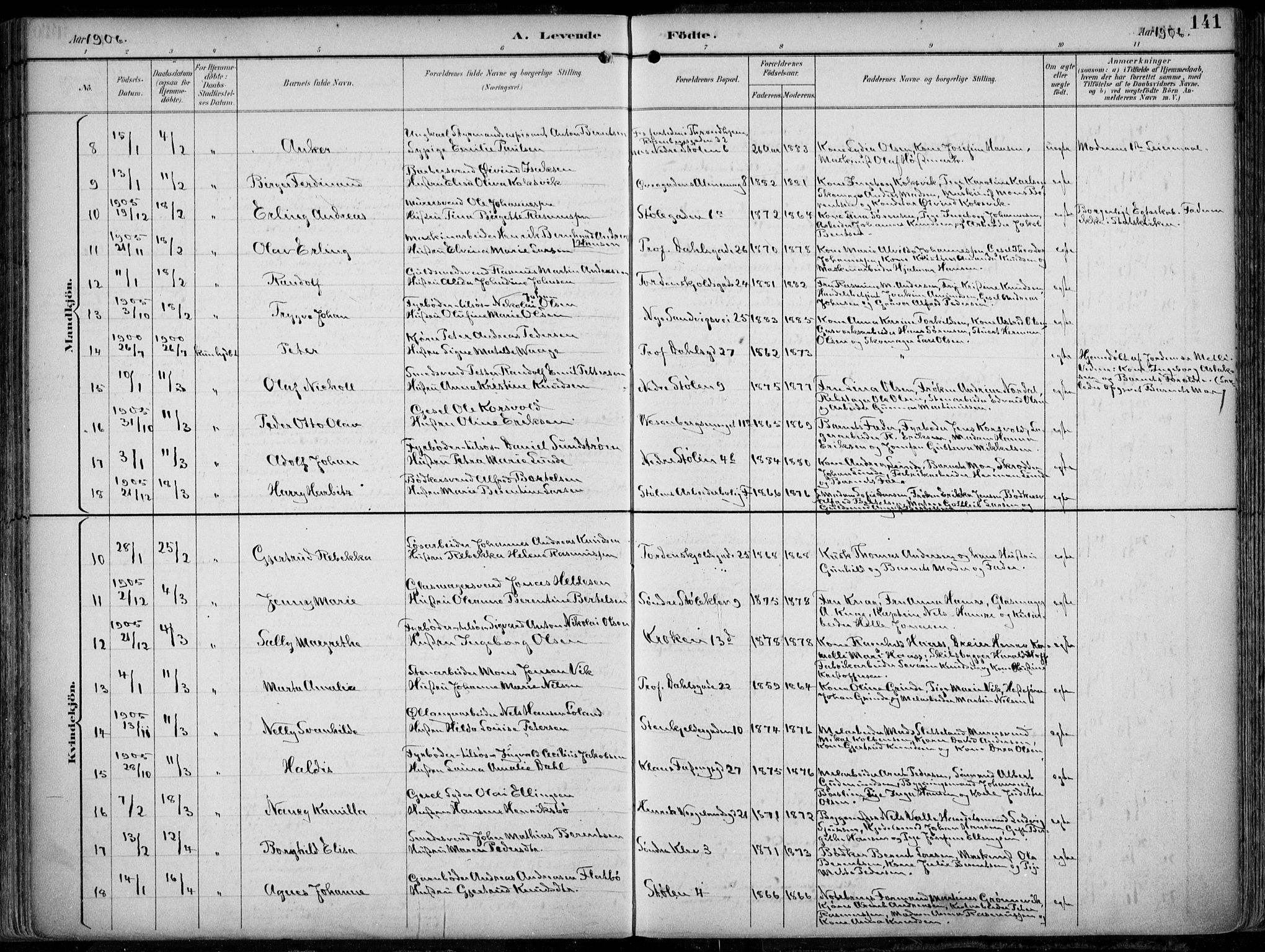 Mariakirken Sokneprestembete, AV/SAB-A-76901/H/Hab/L0005: Parish register (copy) no. A 5, 1893-1913, p. 141