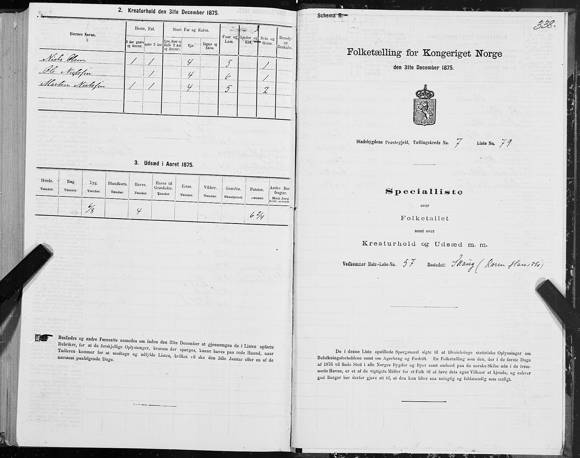 SAT, 1875 census for 1625P Stadsbygd, 1875, p. 4338