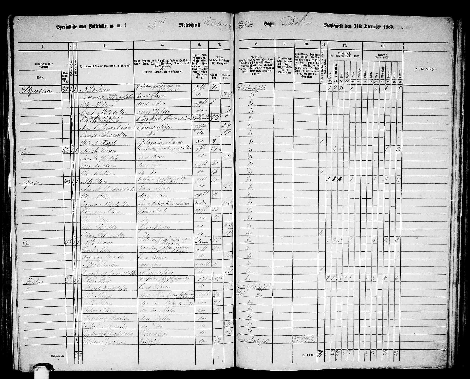 RA, 1865 census for Bolsøy, 1865, p. 69