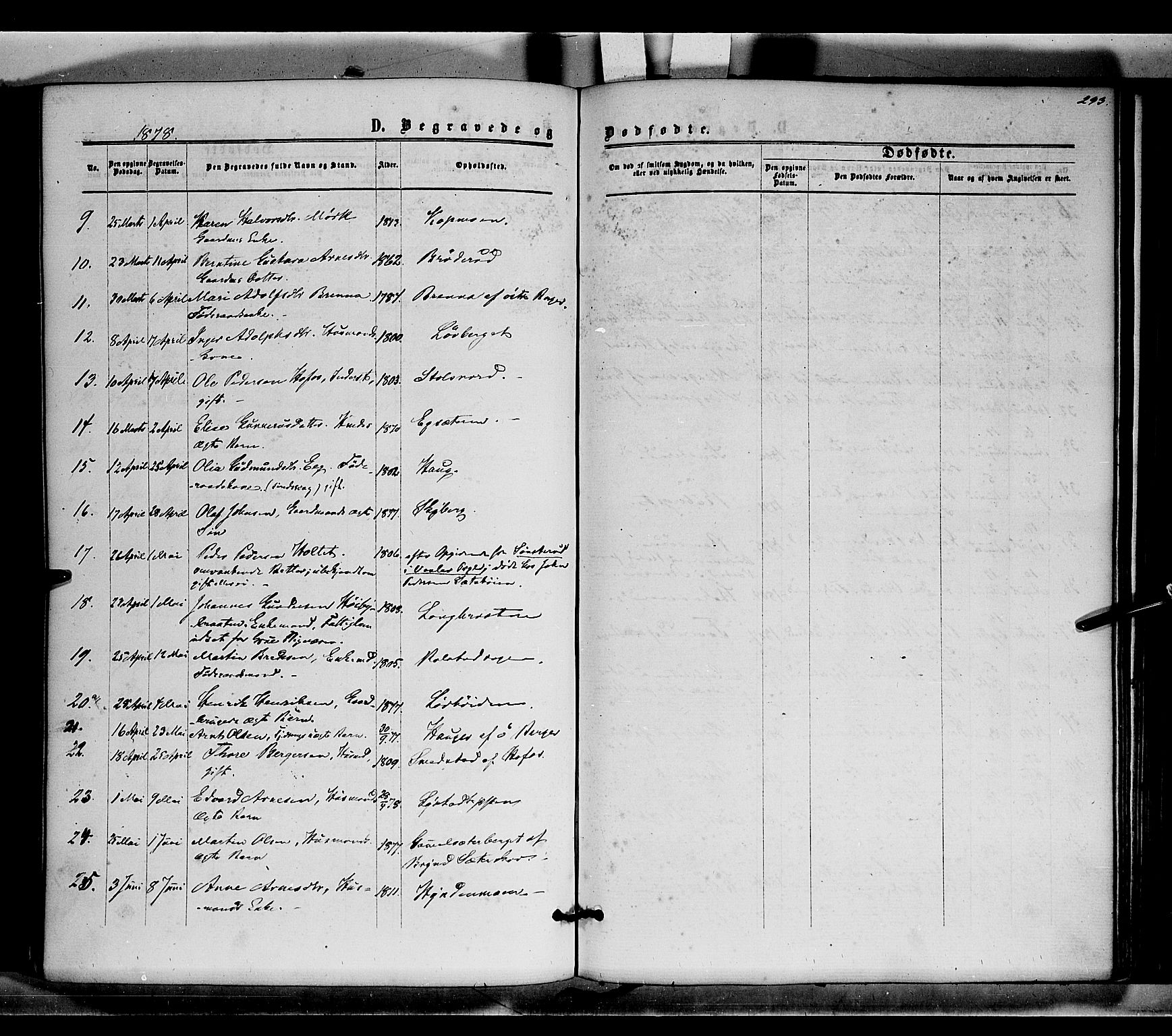 Brandval prestekontor, SAH/PREST-034/H/Ha/Haa/L0001: Parish register (official) no. 1, 1864-1879, p. 293