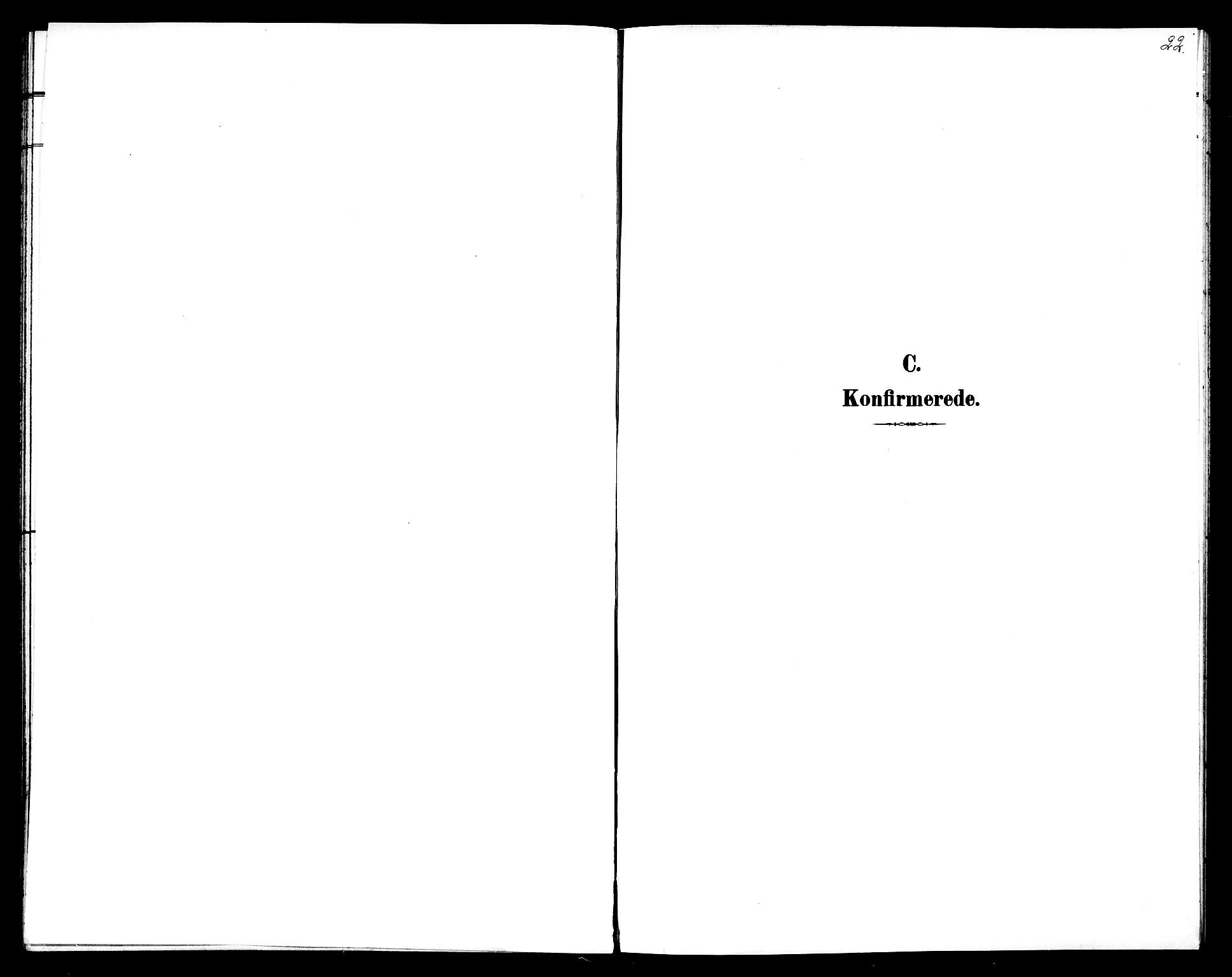 Ministerialprotokoller, klokkerbøker og fødselsregistre - Sør-Trøndelag, SAT/A-1456/602/L0144: Parish register (copy) no. 602C12, 1897-1905, p. 22