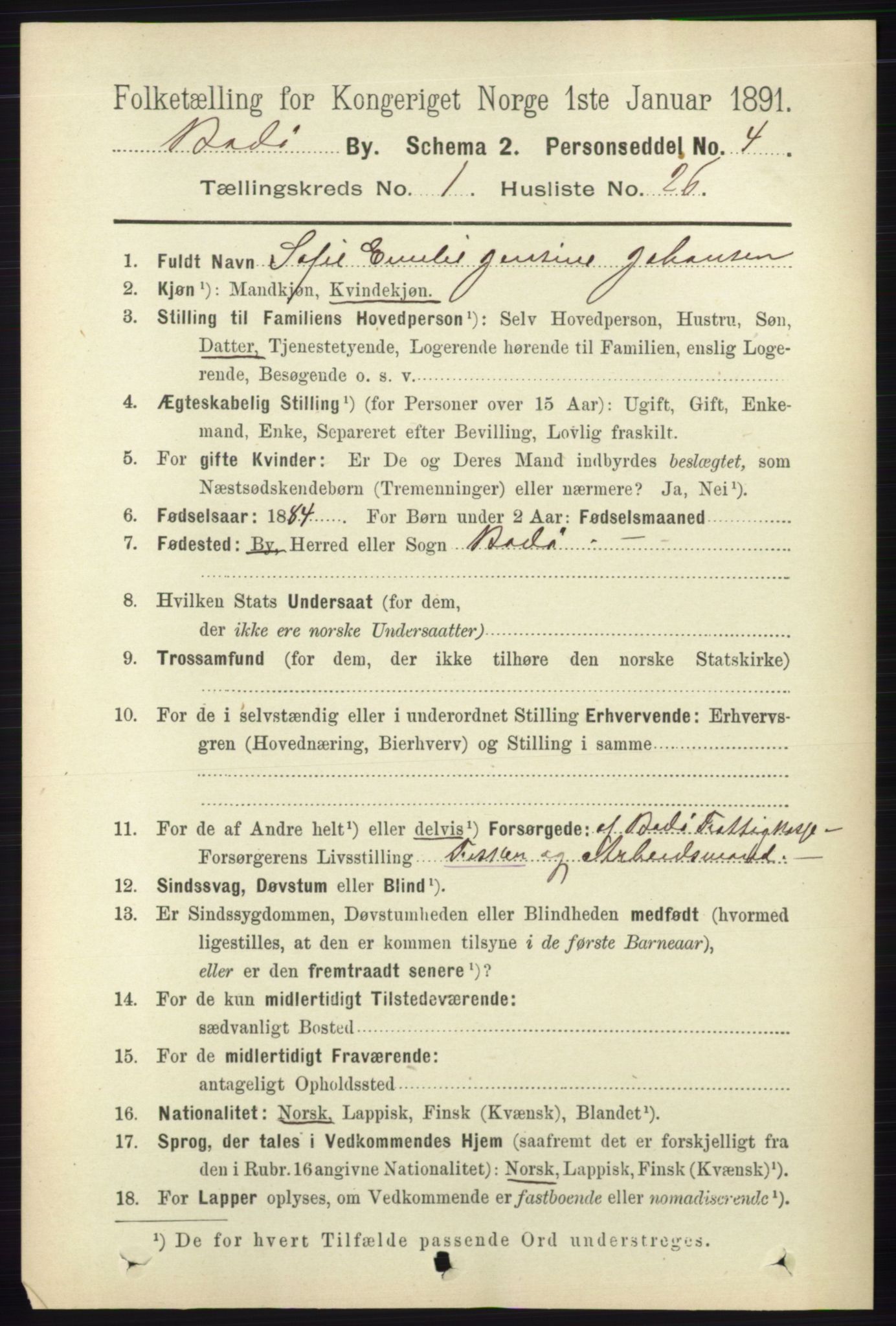 RA, 1891 census for 1804 Bodø, 1891, p. 493