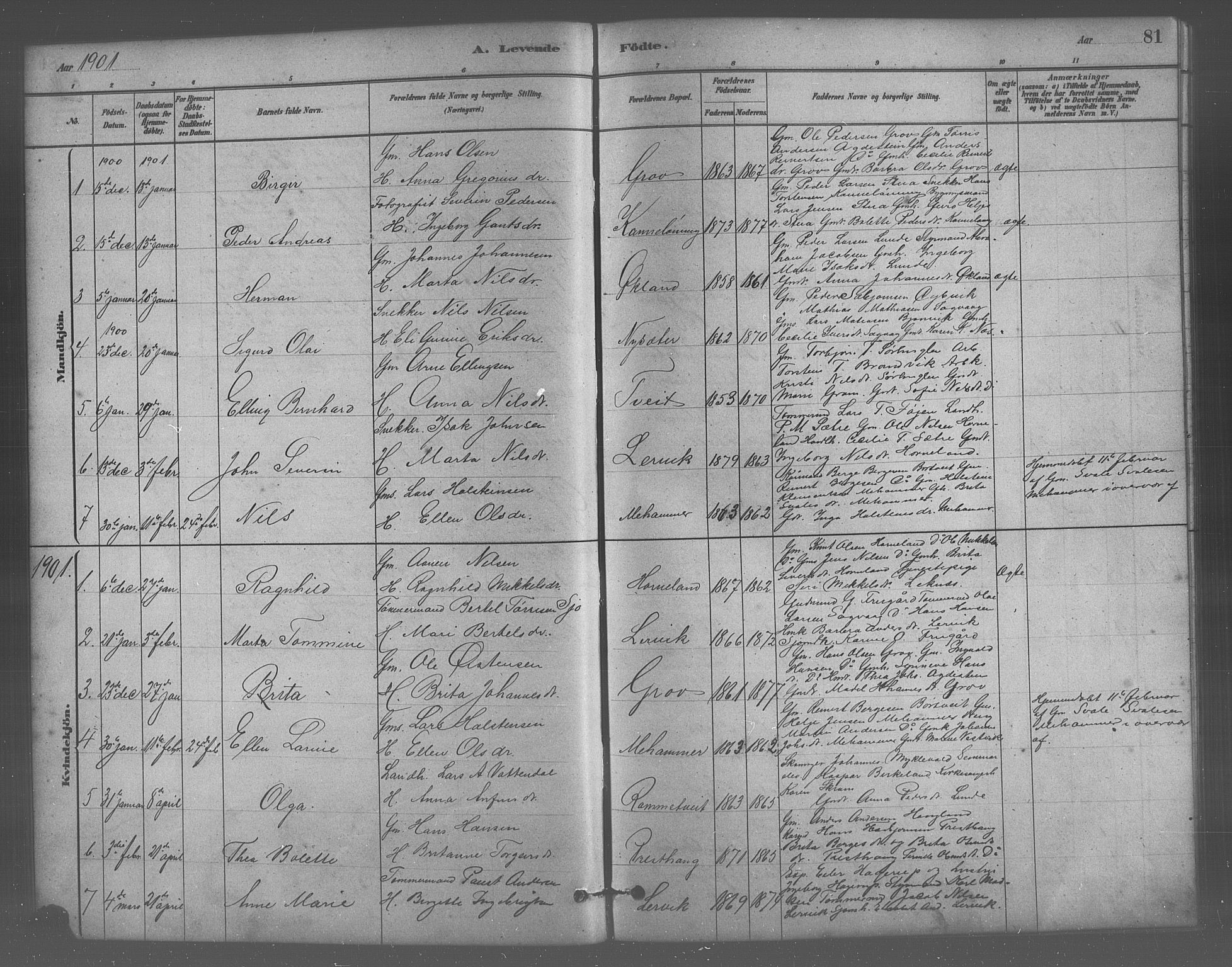 Stord sokneprestembete, SAB/A-78201/H/Hab: Parish register (copy) no. A 2, 1879-1909, p. 81