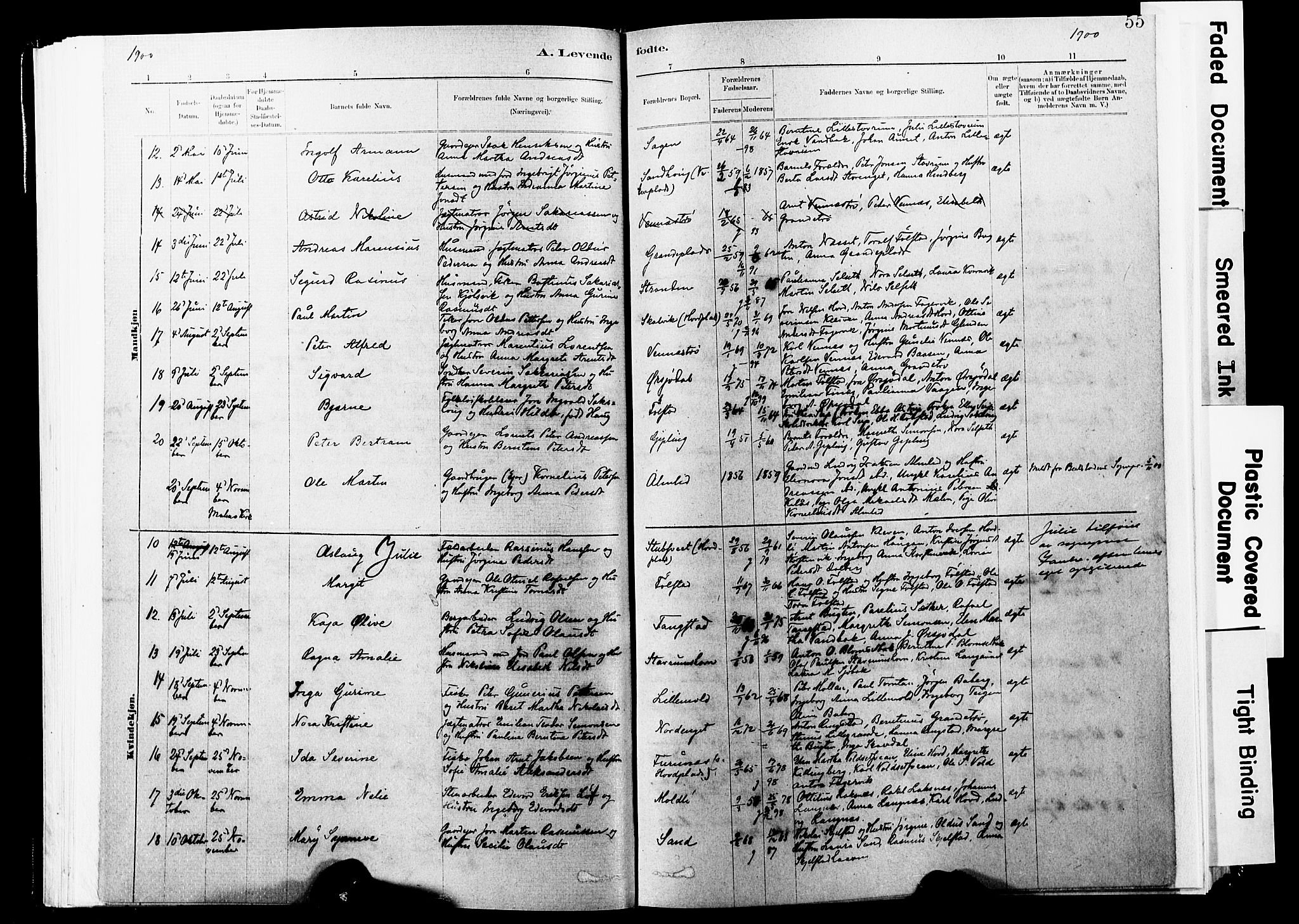 Ministerialprotokoller, klokkerbøker og fødselsregistre - Nord-Trøndelag, AV/SAT-A-1458/744/L0420: Parish register (official) no. 744A04, 1882-1904, p. 55