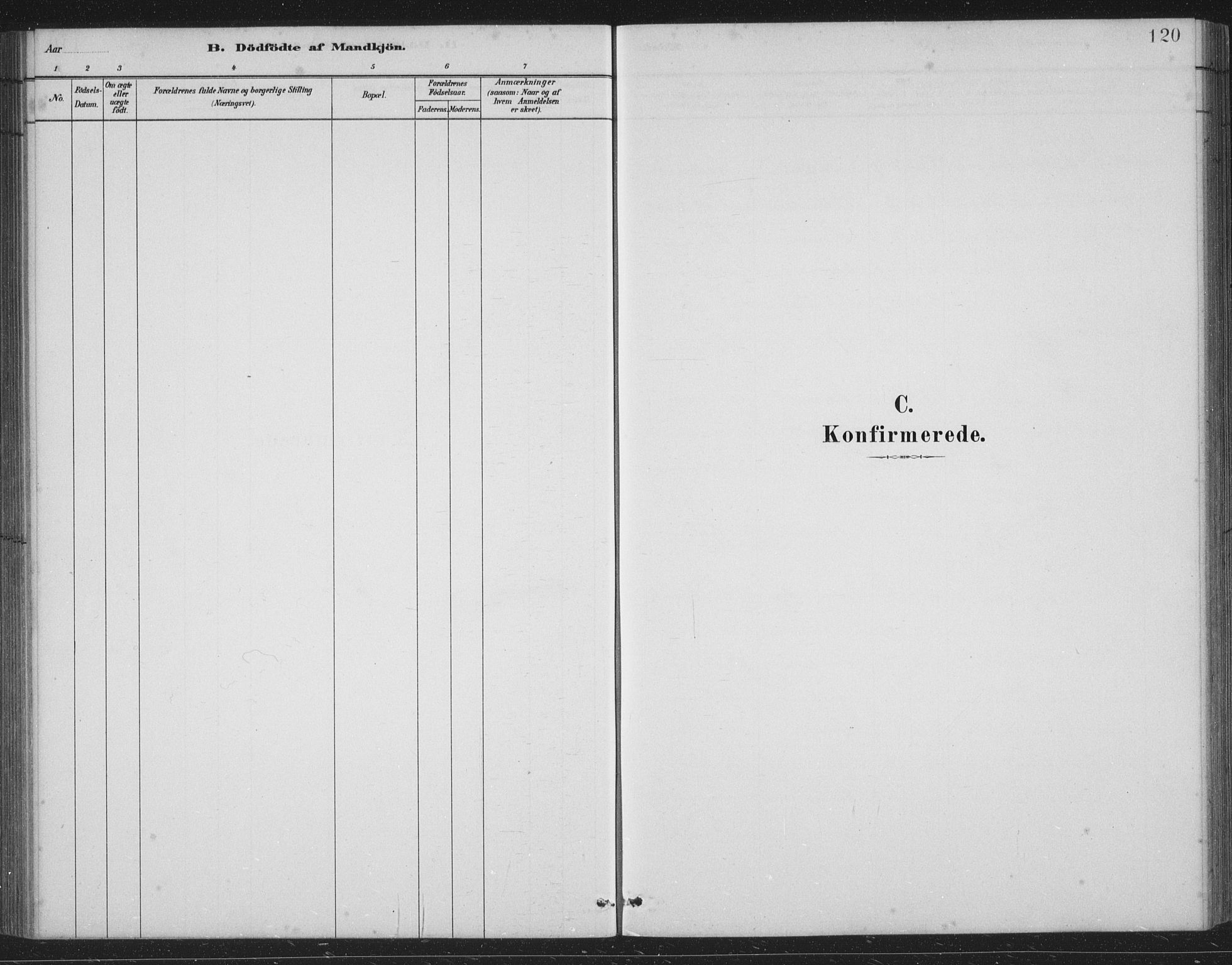 Skånevik sokneprestembete, SAB/A-77801/H/Hab: Parish register (copy) no. B 2, 1881-1920, p. 120