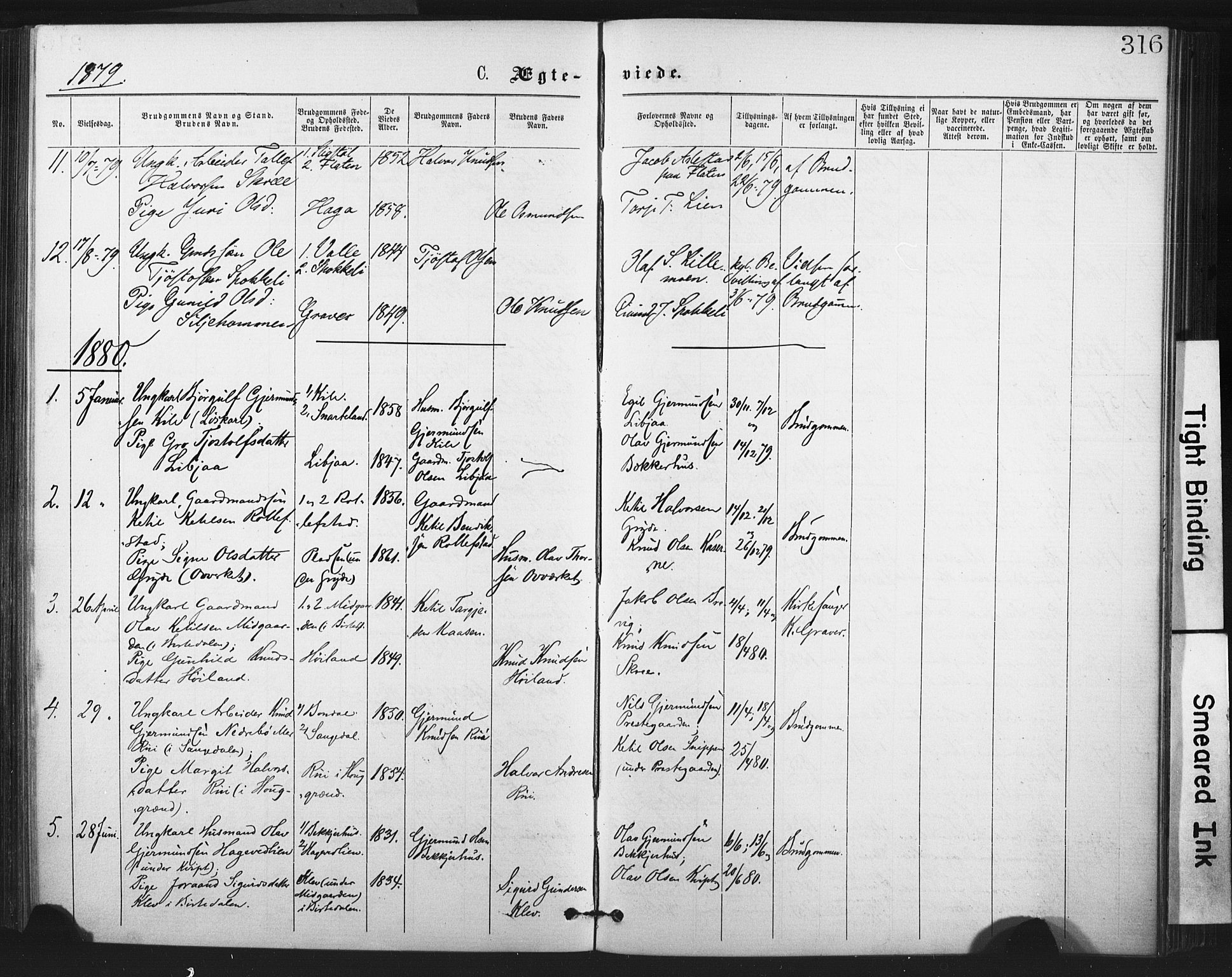 Fyresdal kirkebøker, SAKO/A-263/F/Fa/L0006: Parish register (official) no. I 6, 1872-1886, p. 316