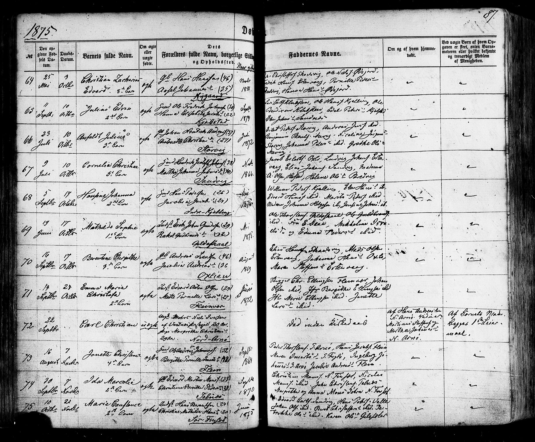 Ministerialprotokoller, klokkerbøker og fødselsregistre - Nordland, AV/SAT-A-1459/805/L0098: Parish register (official) no. 805A05, 1862-1879, p. 87