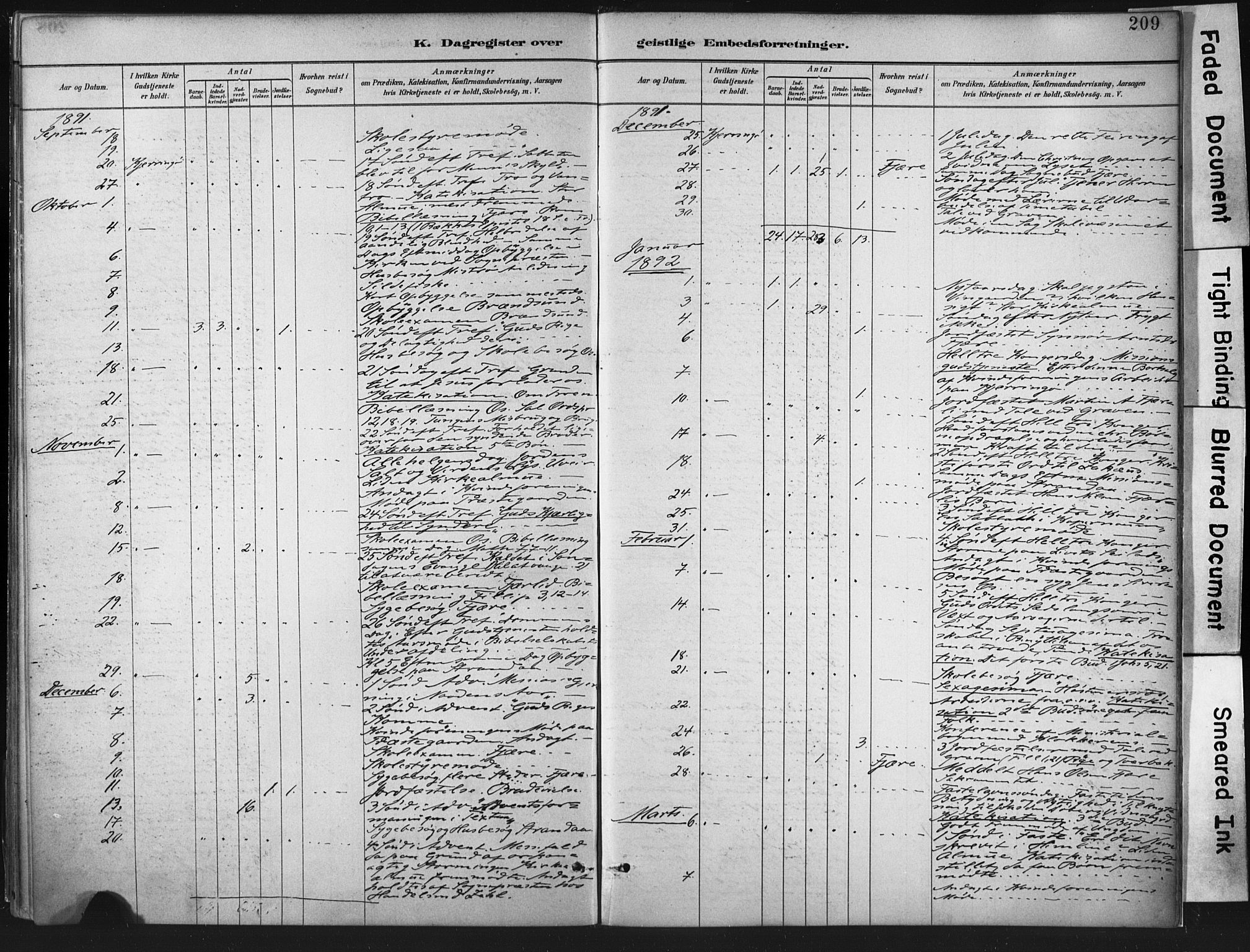 Ministerialprotokoller, klokkerbøker og fødselsregistre - Nordland, AV/SAT-A-1459/803/L0071: Parish register (official) no. 803A01, 1881-1897, p. 209