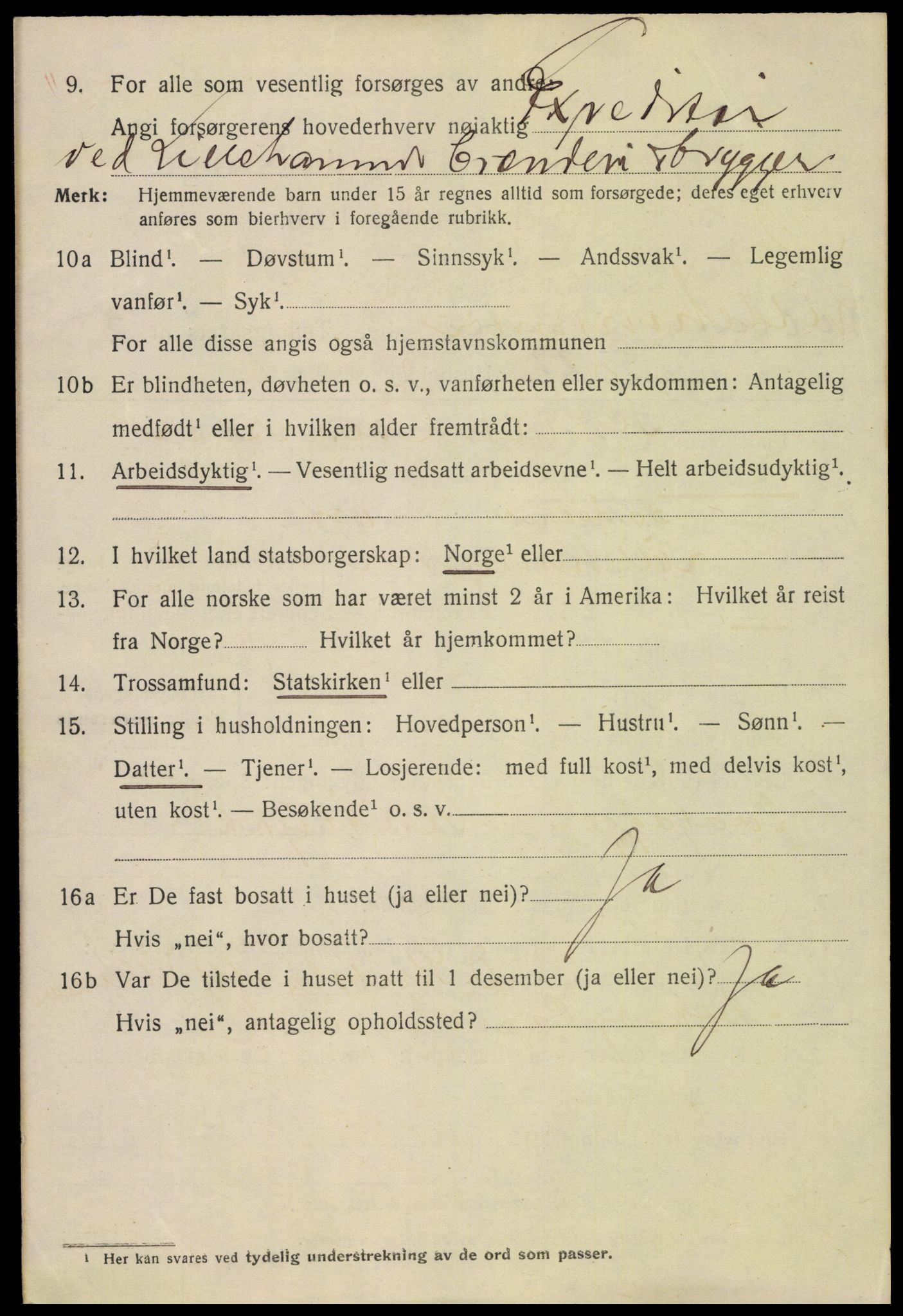 SAH, 1920 census for Lillehammer, 1920, p. 8217