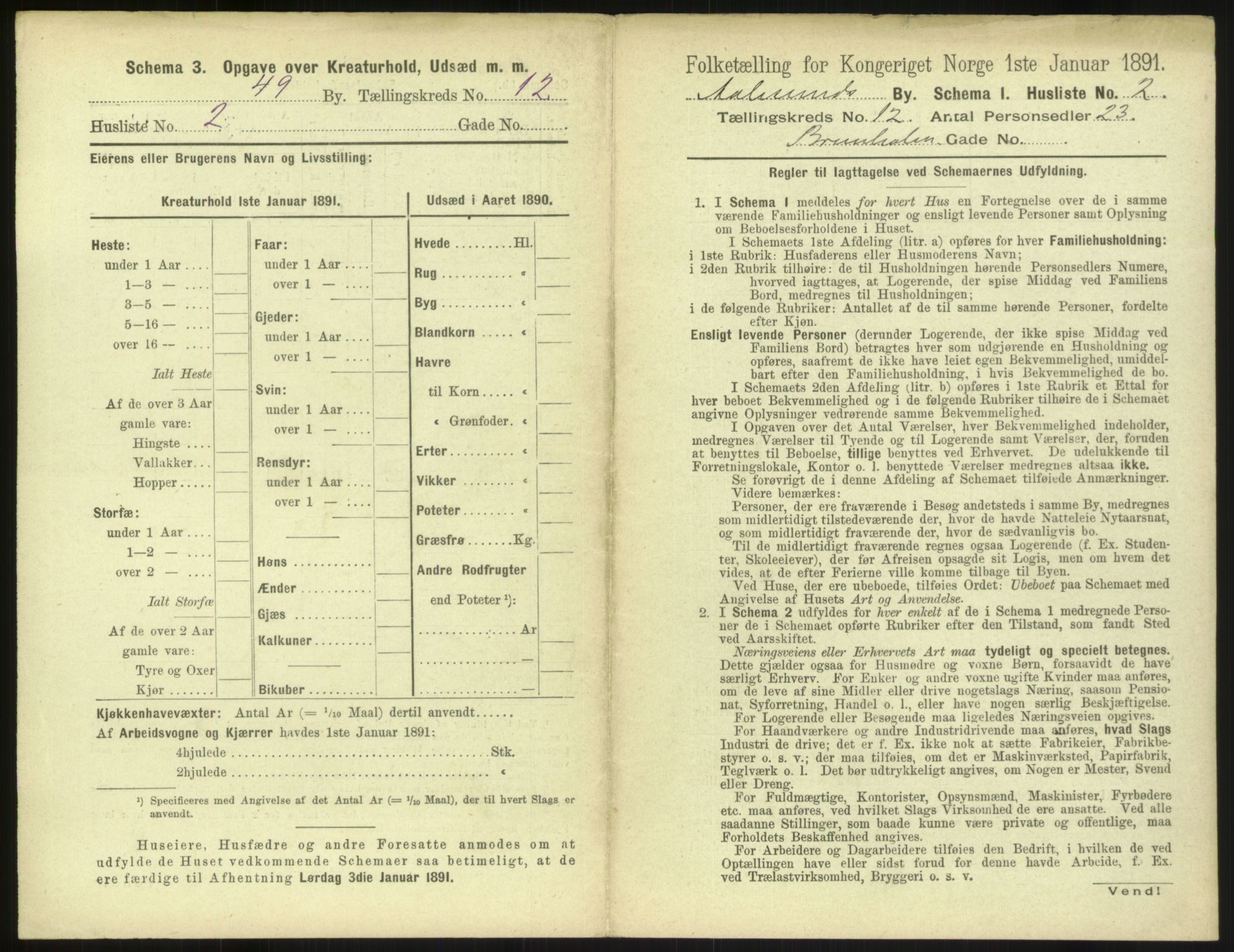 RA, 1891 census for 1501 Ålesund, 1891, p. 866