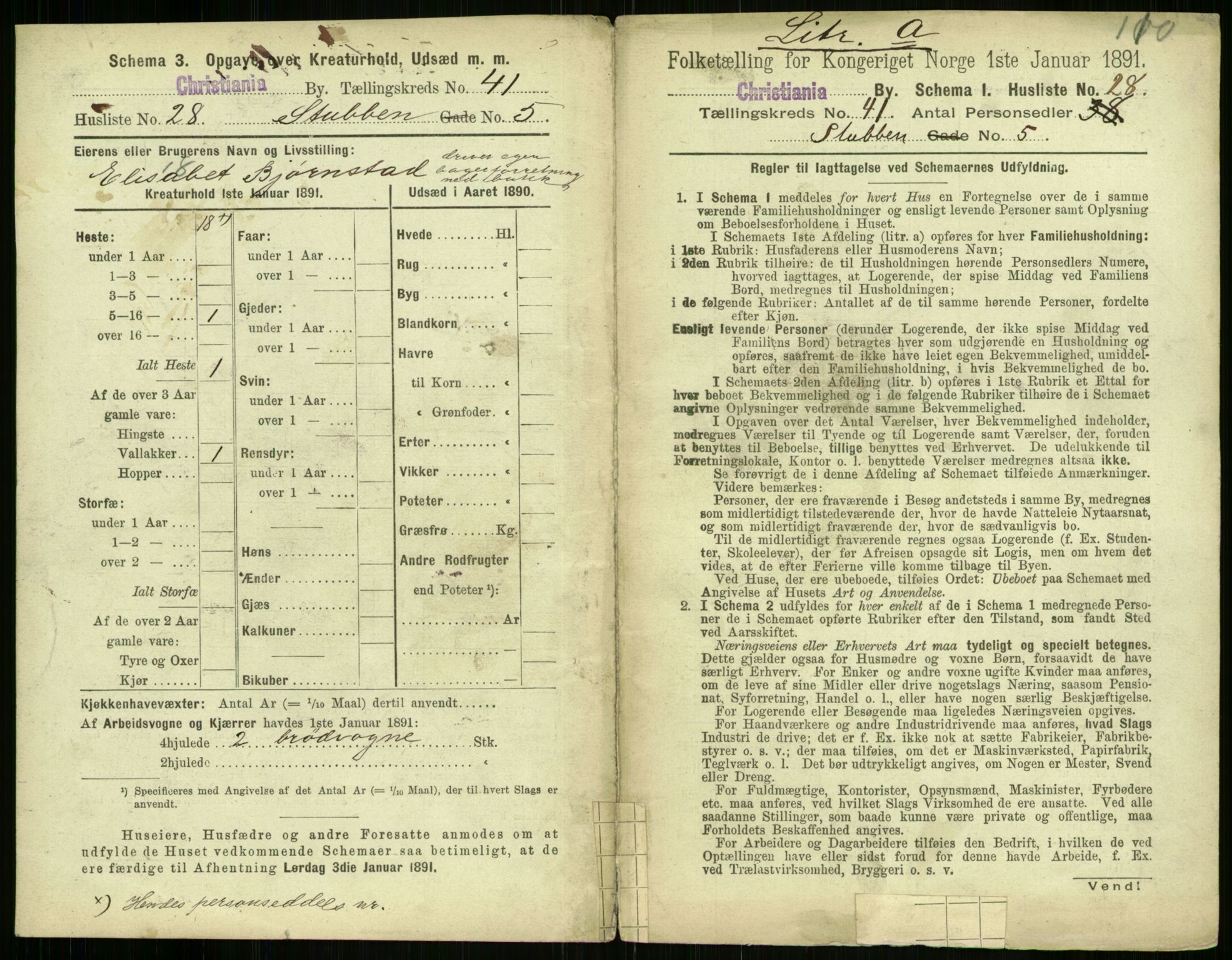 RA, 1891 census for 0301 Kristiania, 1891, p. 23727