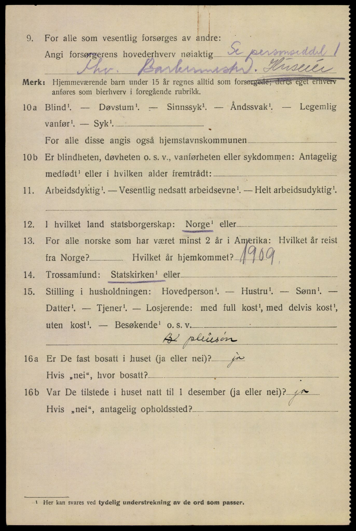 SAKO, 1920 census for Notodden, 1920, p. 6913