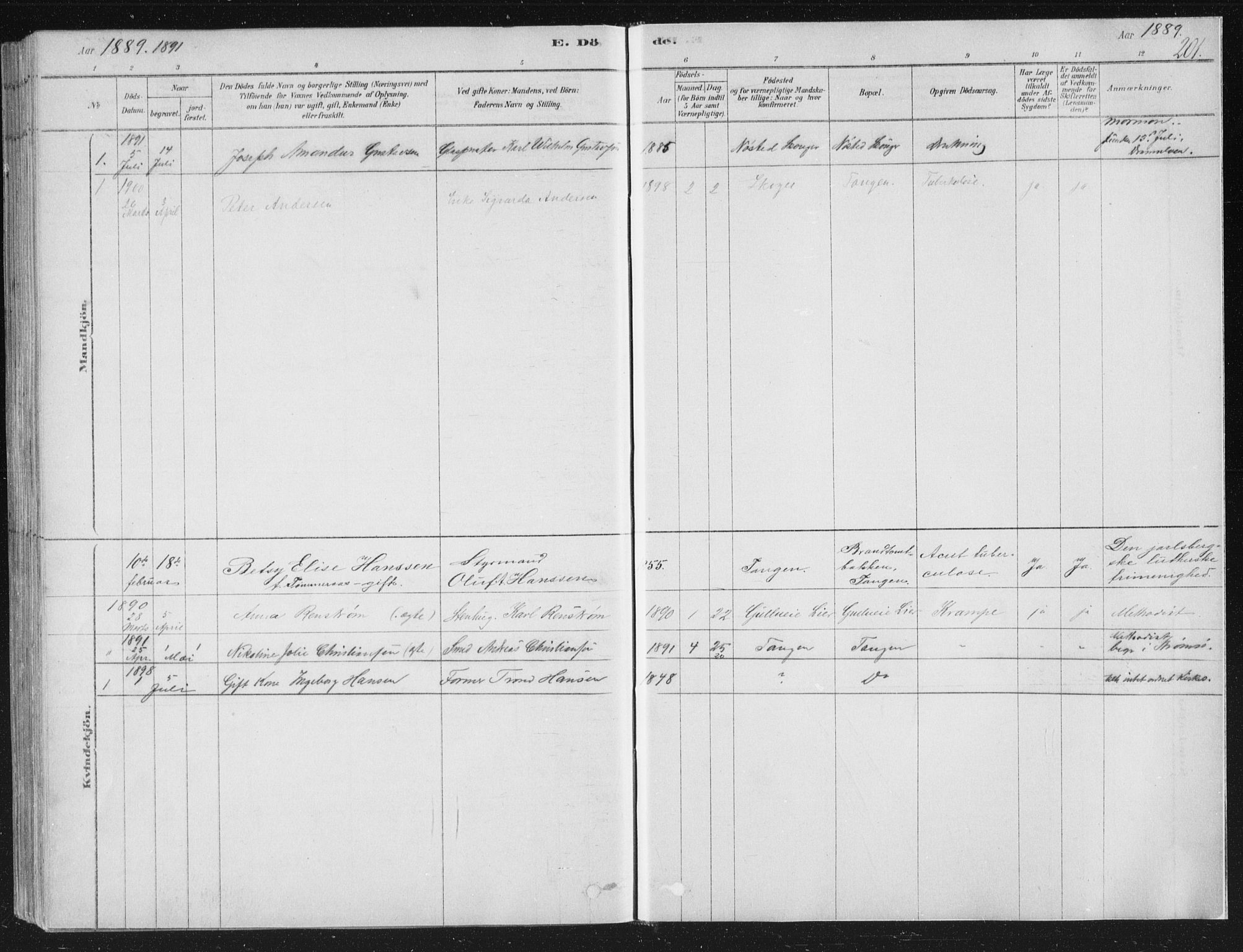 Strømsø kirkebøker, SAKO/A-246/F/Fb/L0005: Parish register (official) no. II 5, 1877-1902, p. 201