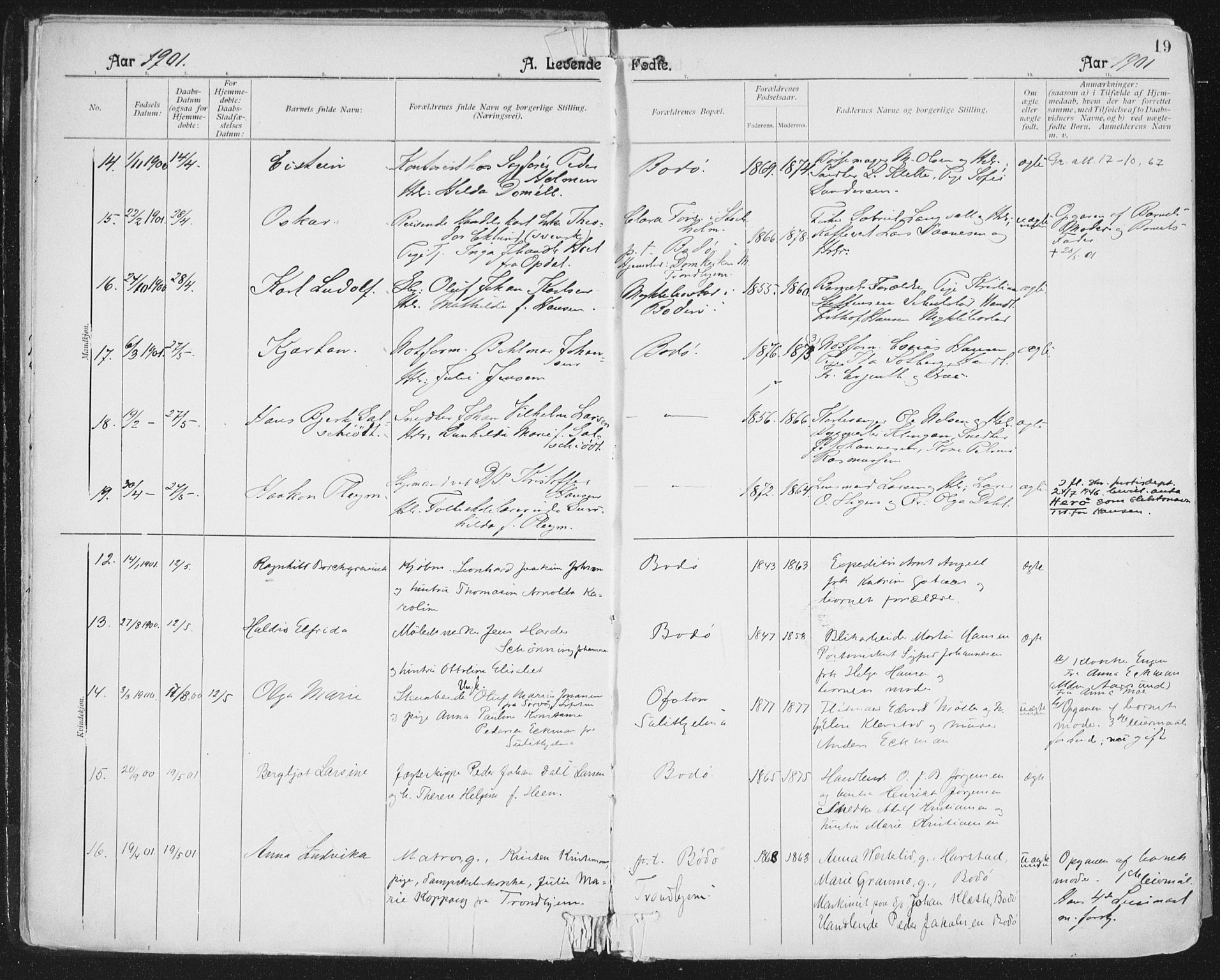 Ministerialprotokoller, klokkerbøker og fødselsregistre - Nordland, AV/SAT-A-1459/801/L0011: Parish register (official) no. 801A11, 1900-1916, p. 19