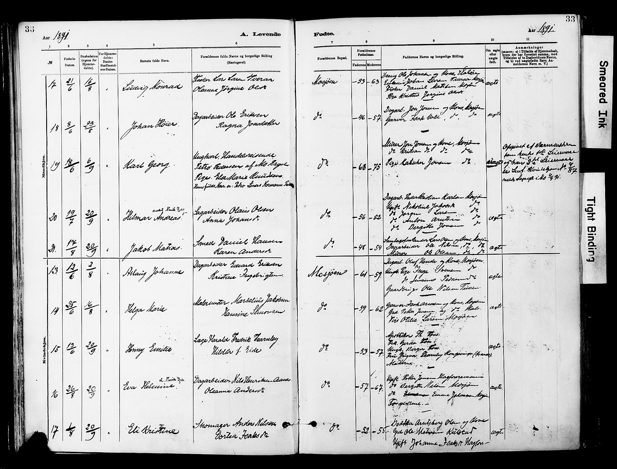 Ministerialprotokoller, klokkerbøker og fødselsregistre - Nordland, AV/SAT-A-1459/820/L0296: Parish register (official) no. 820A17, 1880-1903, p. 33