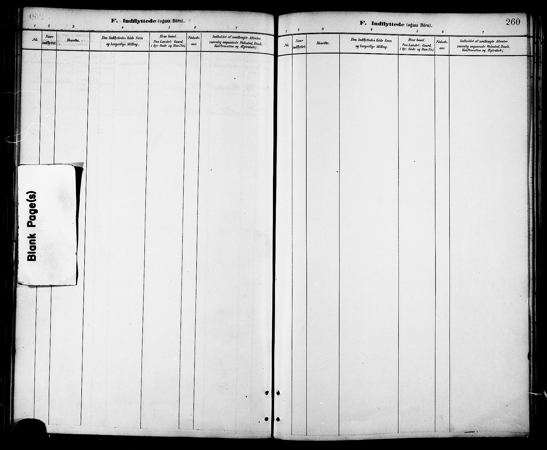 Ministerialprotokoller, klokkerbøker og fødselsregistre - Nordland, AV/SAT-A-1459/872/L1035: Parish register (official) no. 872A10, 1884-1896, p. 260