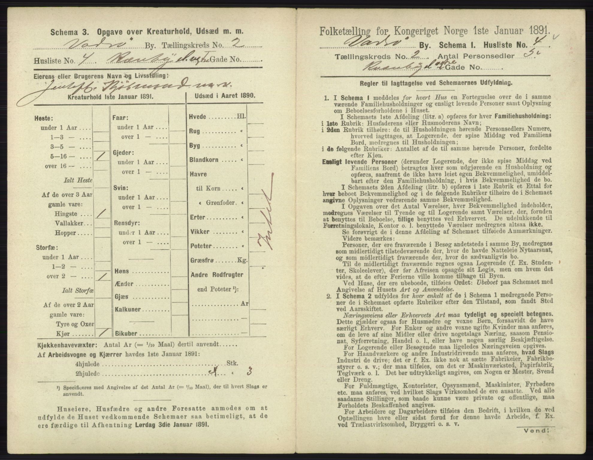 RA, 1891 census for 2003 Vadsø, 1891, p. 591