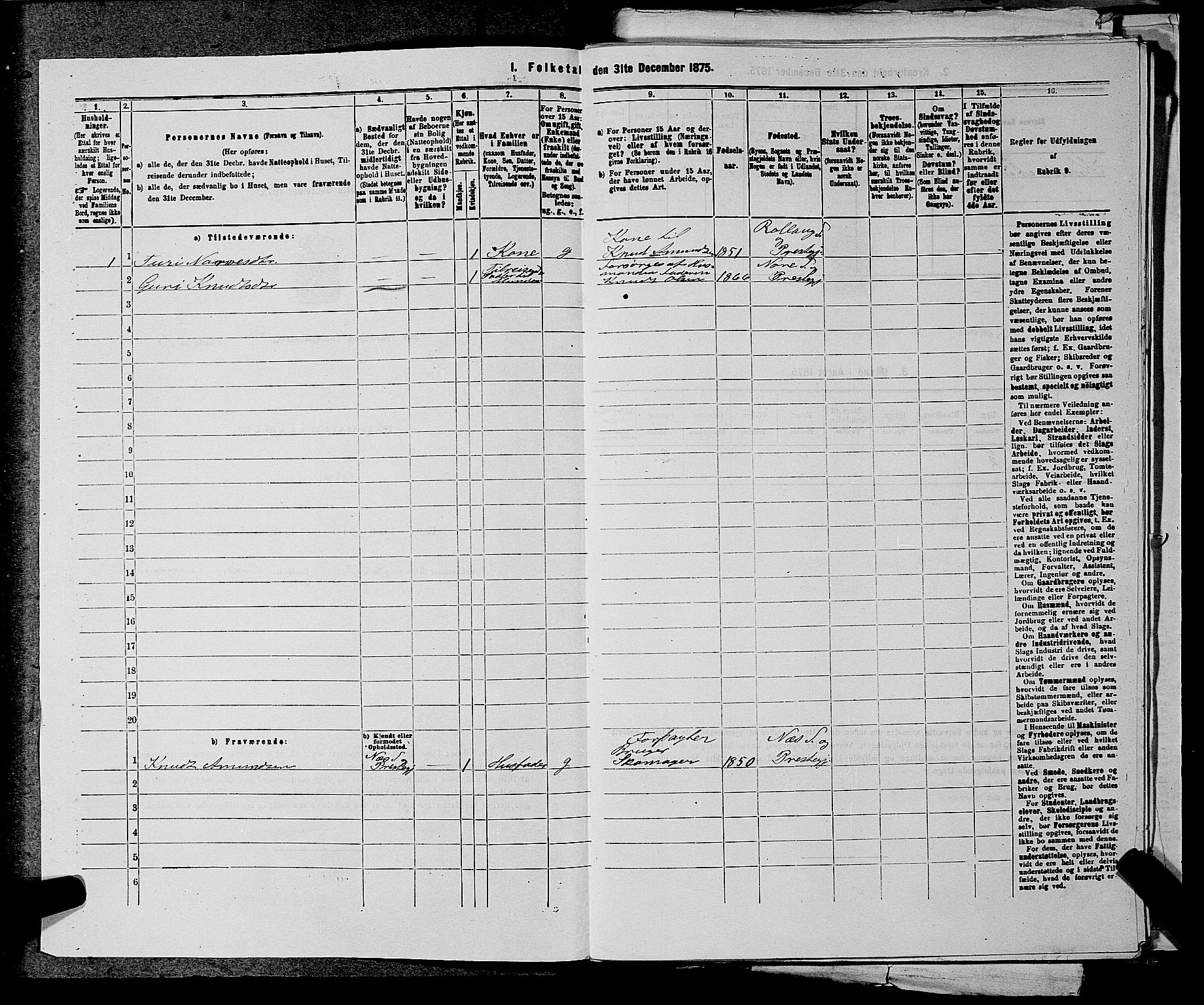 SAKO, 1875 census for 0633P Nore, 1875, p. 952