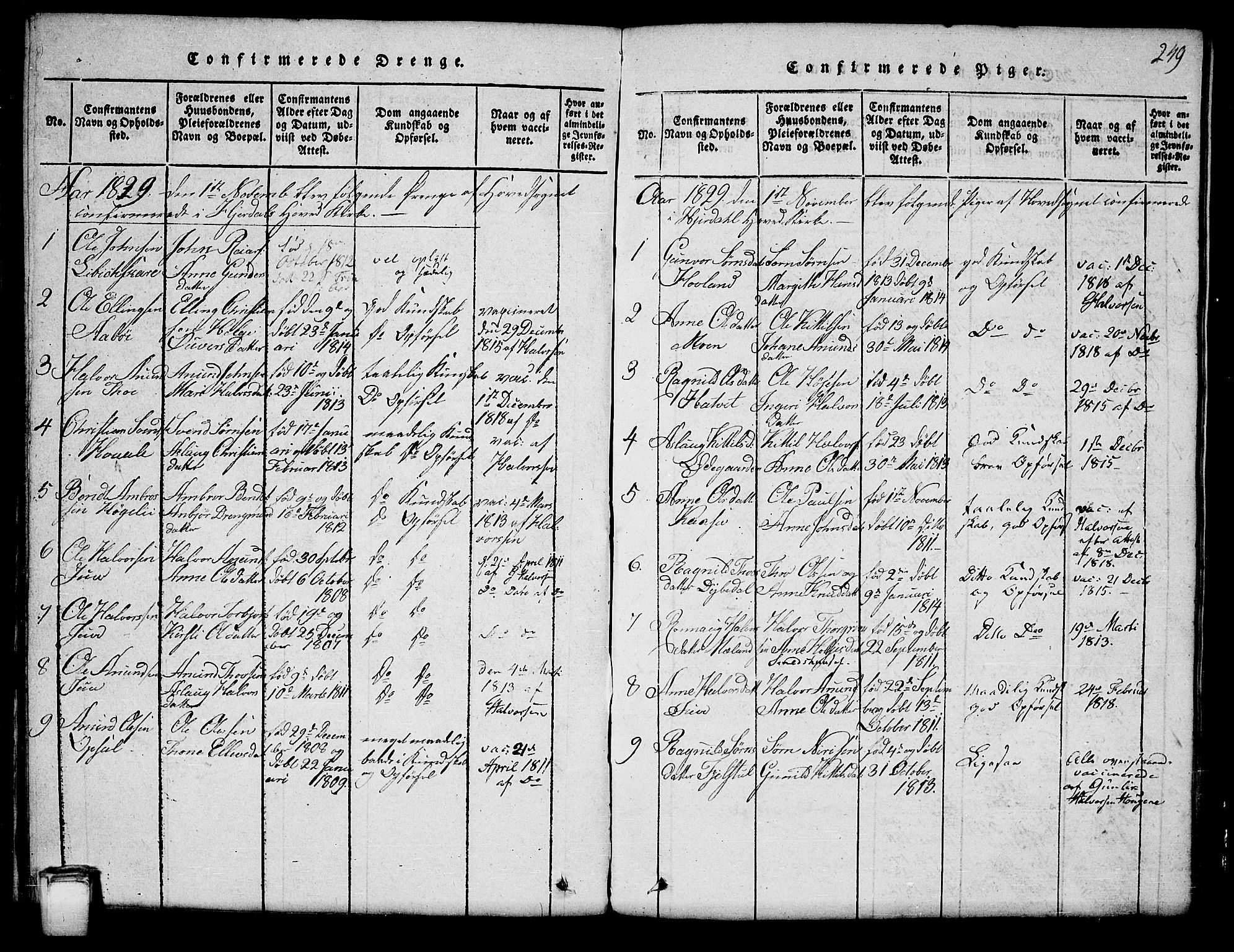 Hjartdal kirkebøker, SAKO/A-270/G/Ga/L0001: Parish register (copy) no. I 1, 1815-1842, p. 249