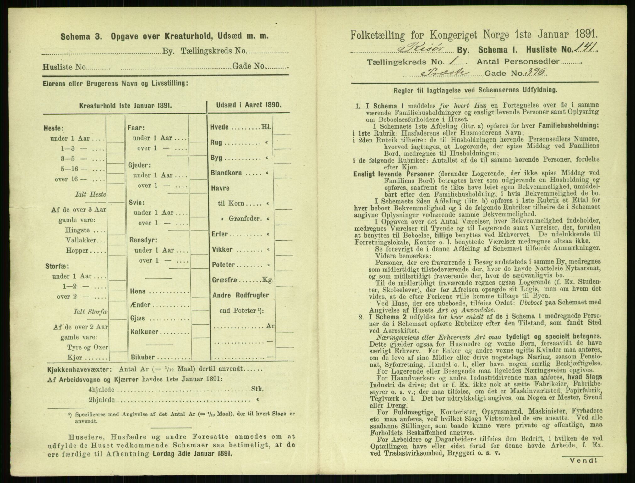 RA, 1891 census for 0901 Risør, 1891, p. 305