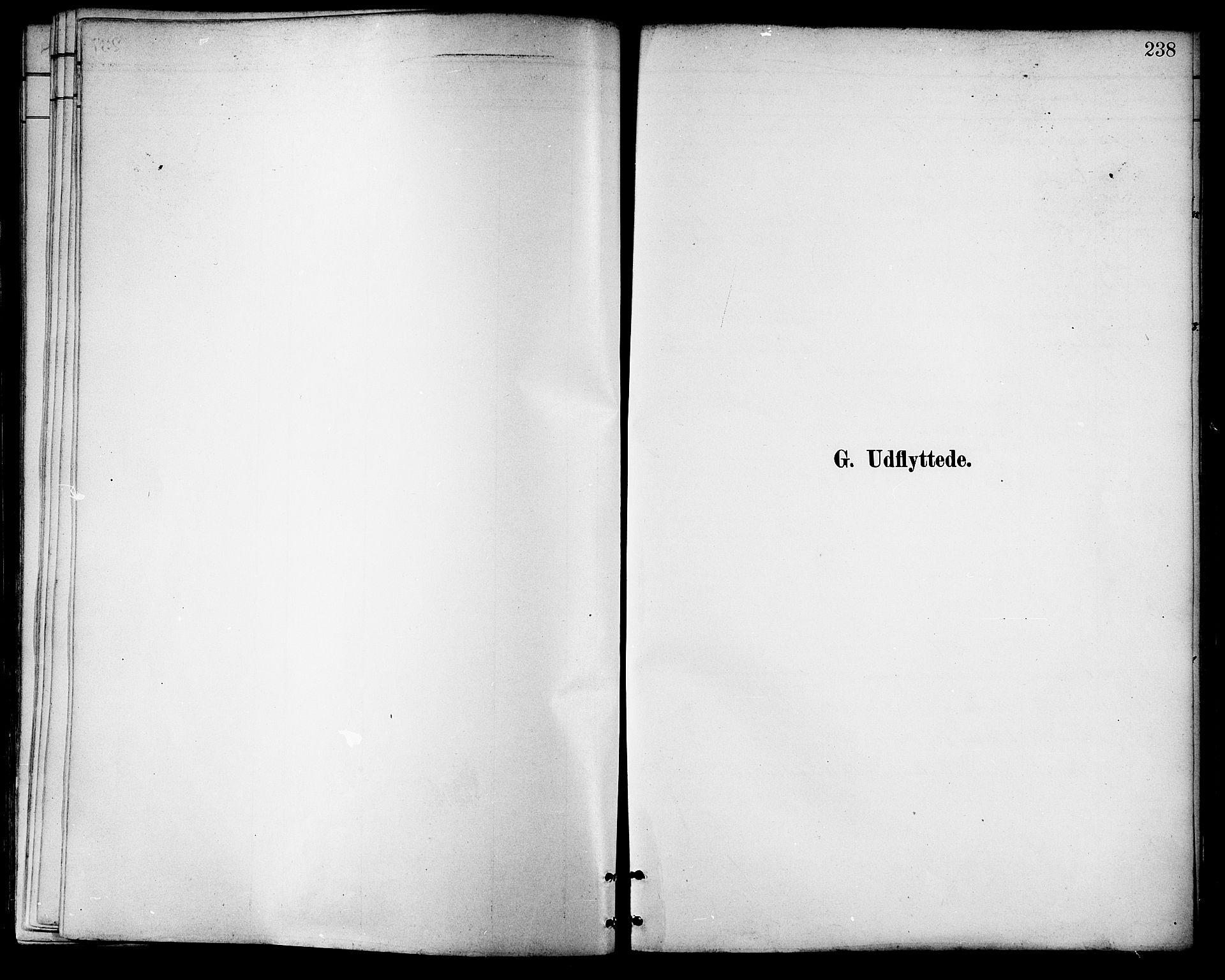 Ministerialprotokoller, klokkerbøker og fødselsregistre - Nordland, SAT/A-1459/881/L1167: Parish register (copy) no. 881C04, 1886-1899, p. 238