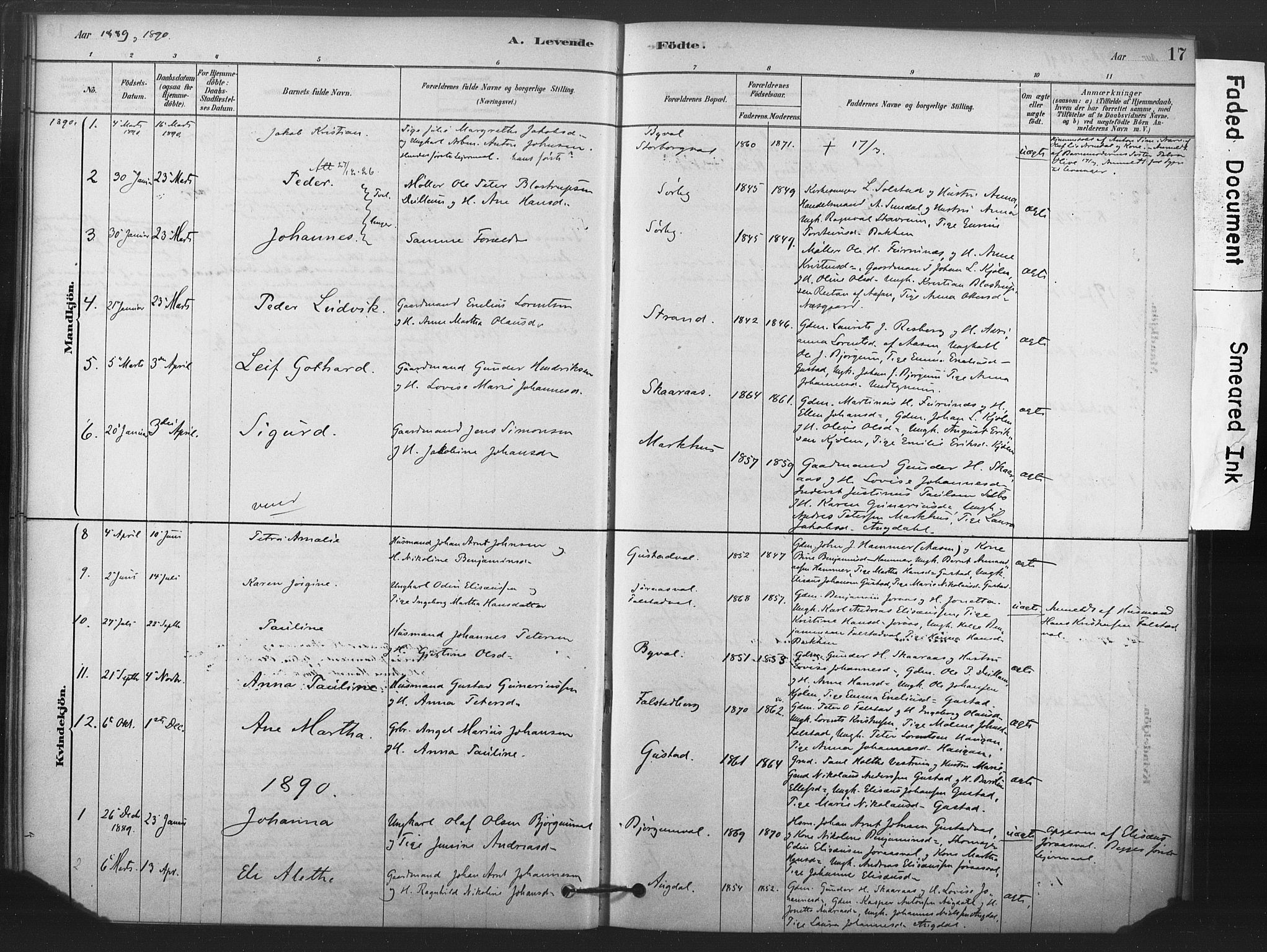Ministerialprotokoller, klokkerbøker og fødselsregistre - Nord-Trøndelag, SAT/A-1458/719/L0178: Parish register (official) no. 719A01, 1878-1900, p. 17