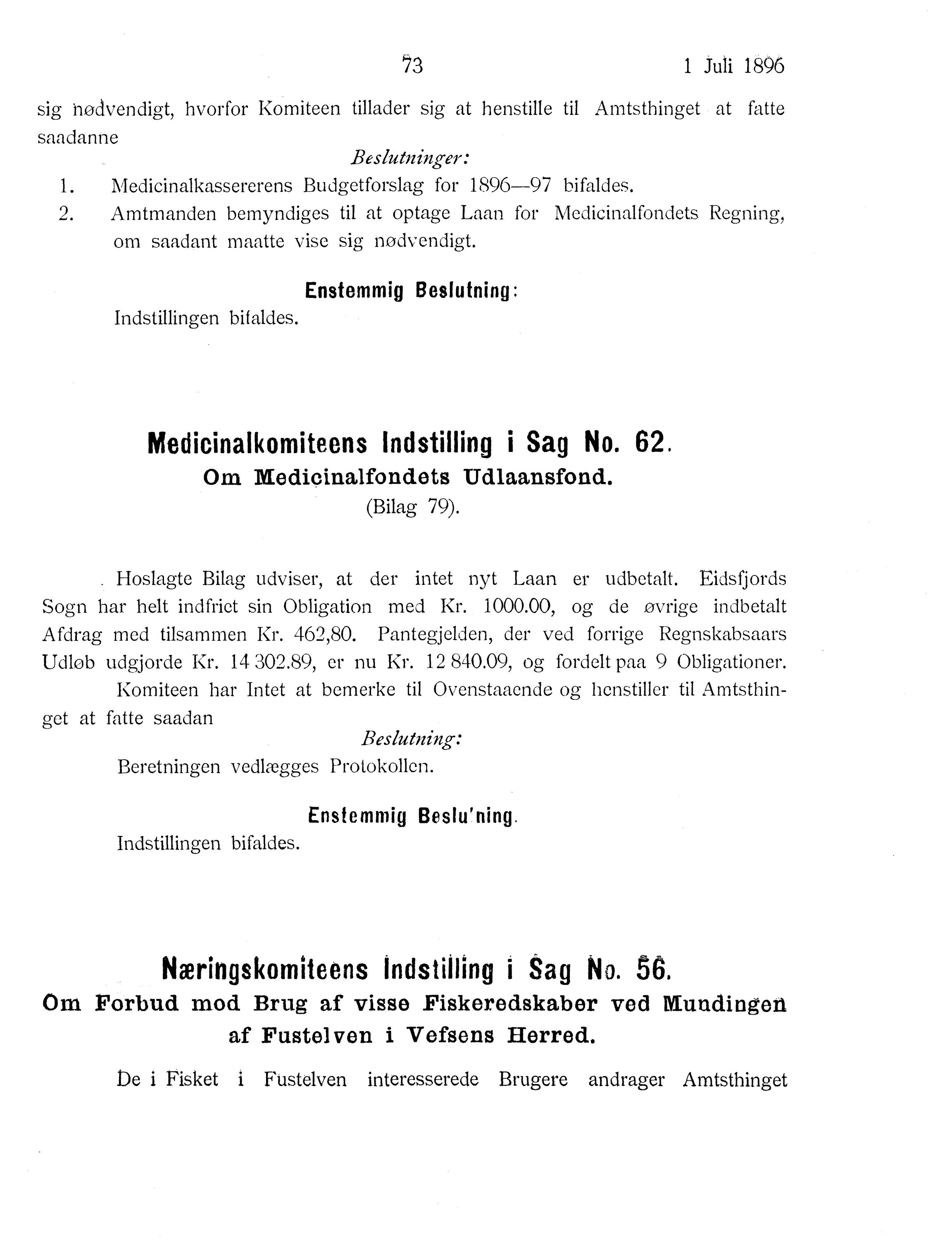 Nordland Fylkeskommune. Fylkestinget, AIN/NFK-17/176/A/Ac/L0019: Fylkestingsforhandlinger 1896, 1896