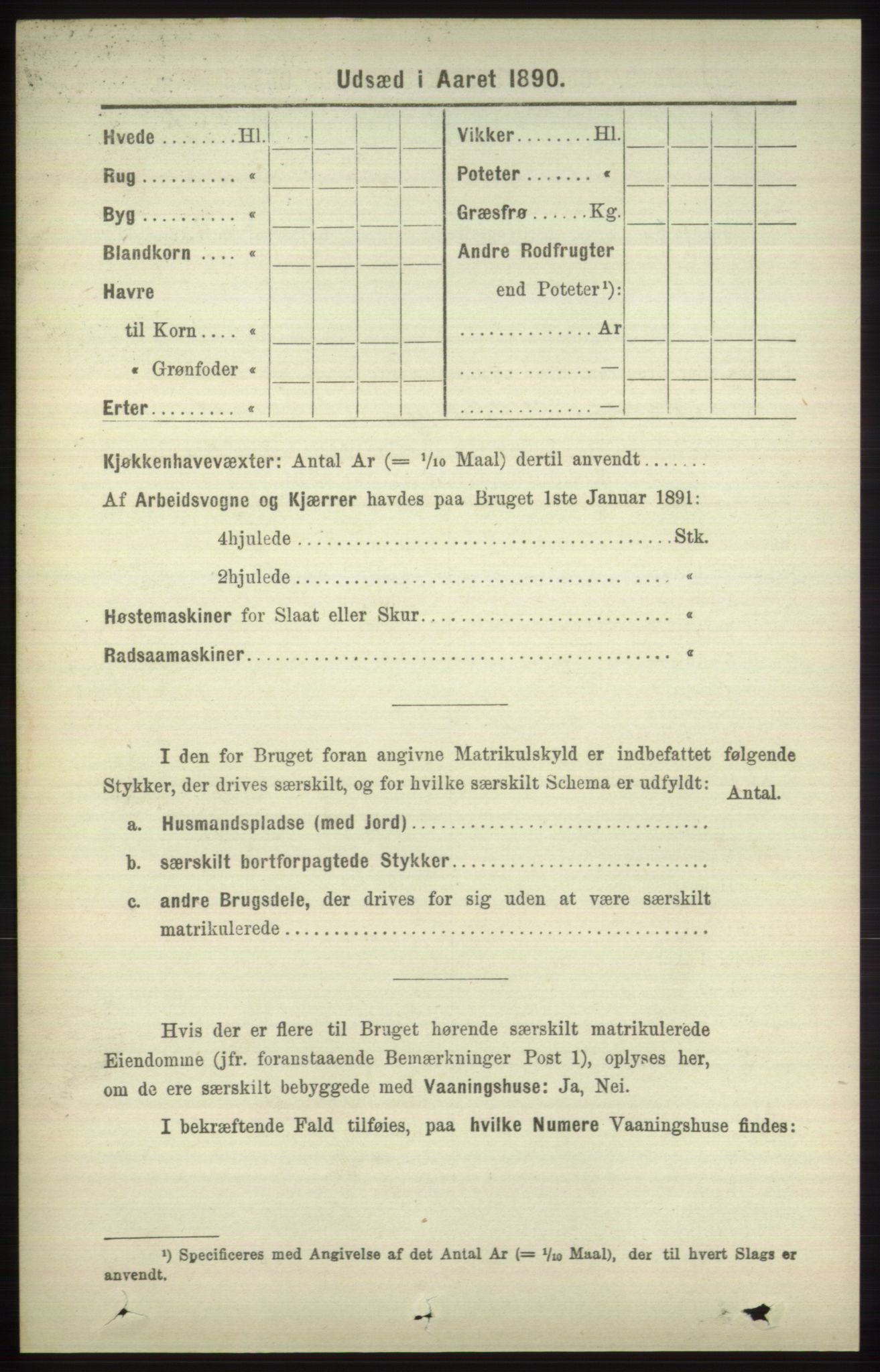 RA, 1891 census for 1251 Bruvik, 1891, p. 4724