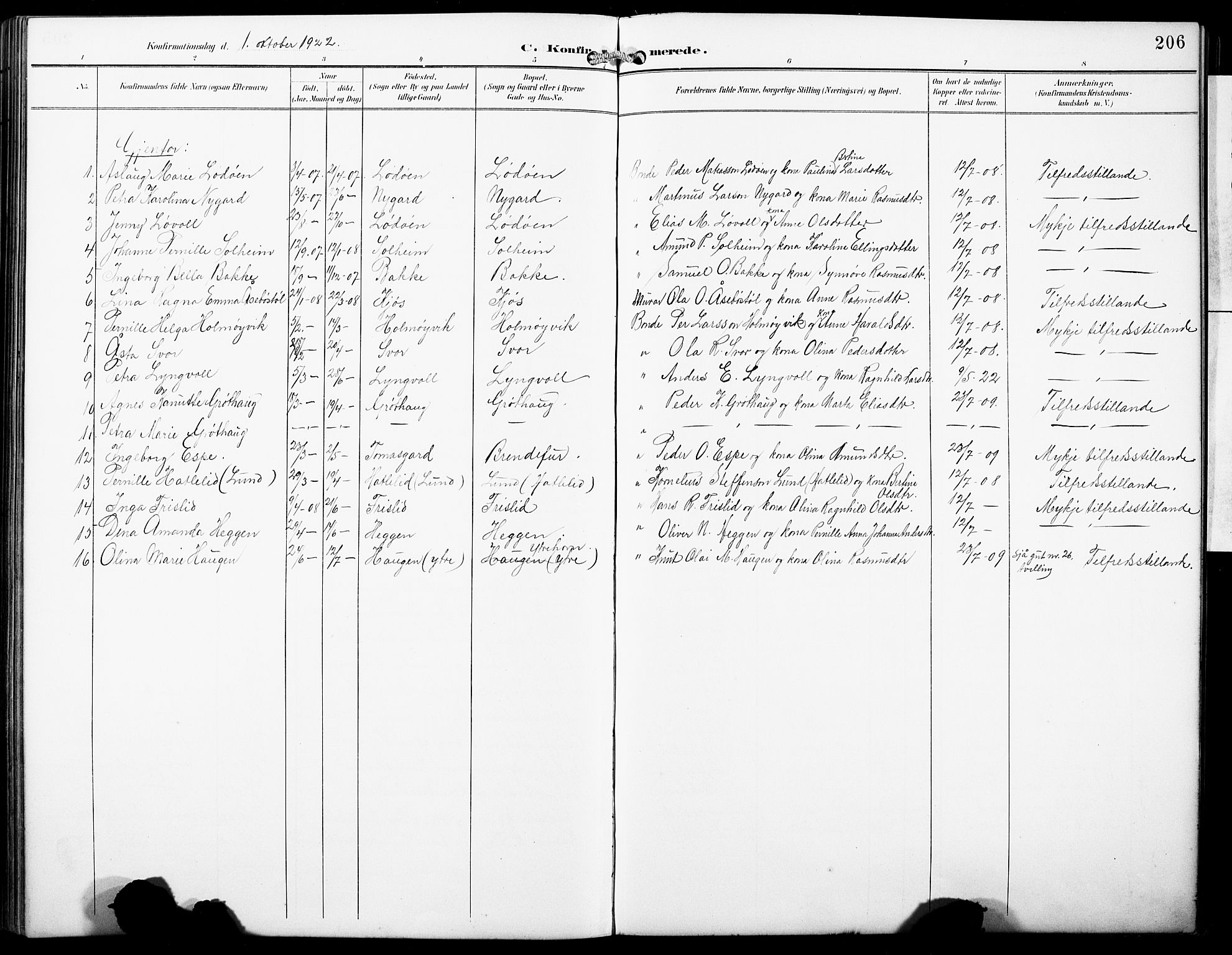Hornindal sokneprestembete, AV/SAB-A-82401/H/Hab: Parish register (copy) no. A 2, 1894-1927, p. 206