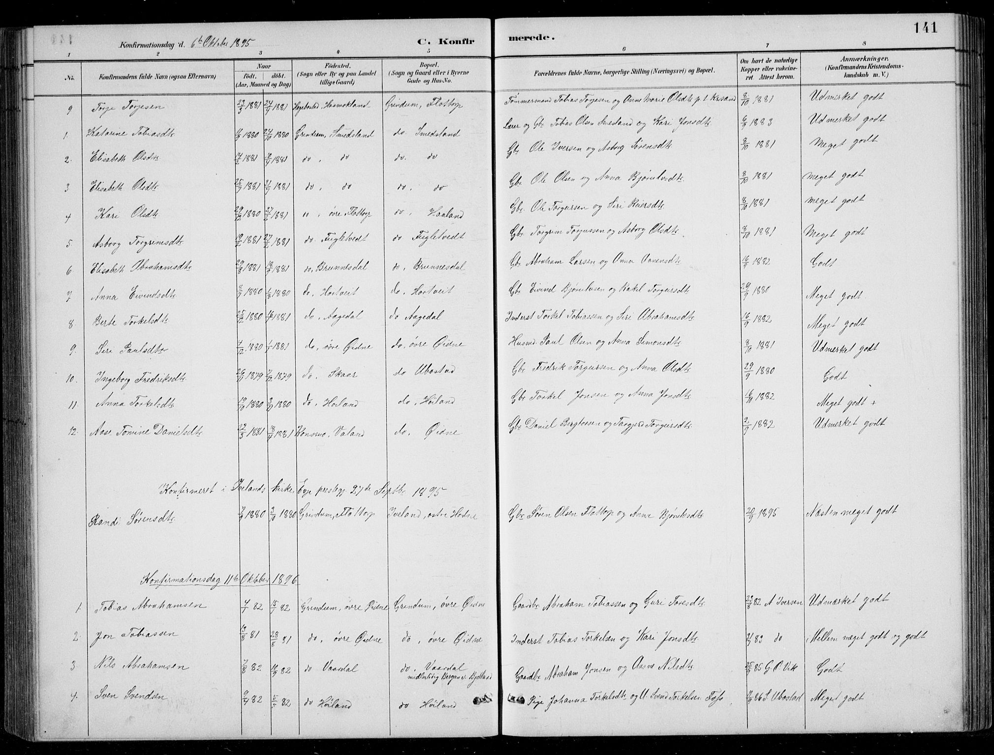 Bjelland sokneprestkontor, SAK/1111-0005/F/Fb/Fbc/L0003: Parish register (copy) no. B 3, 1887-1924, p. 141