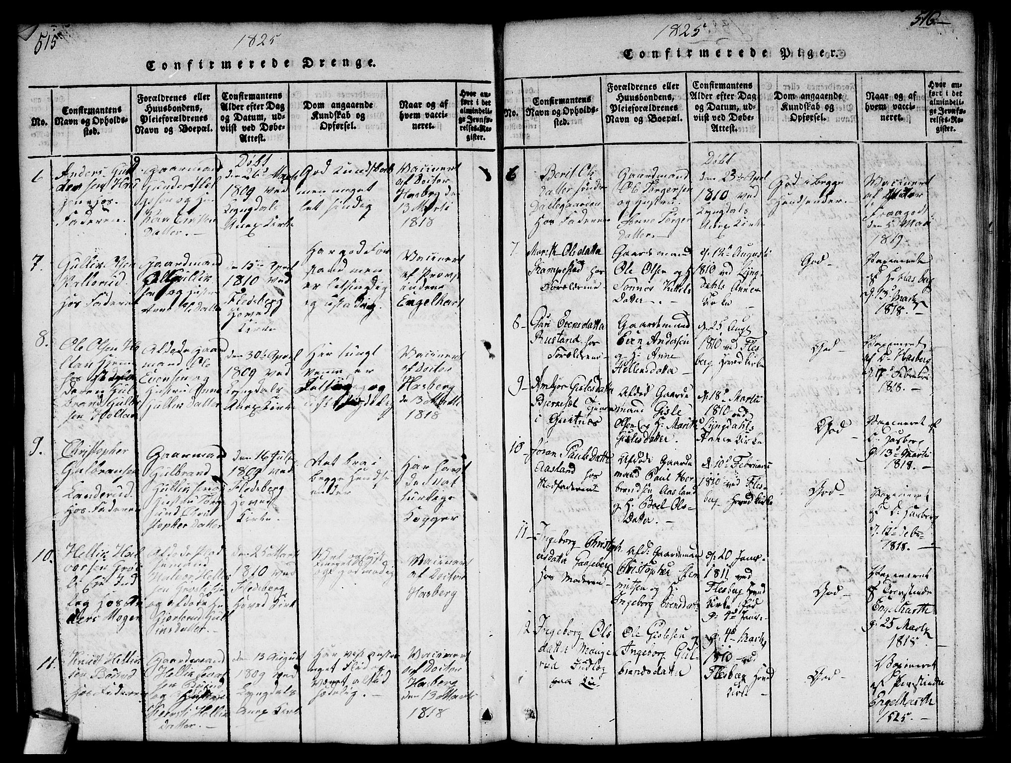 Flesberg kirkebøker, AV/SAKO-A-18/G/Ga/L0001: Parish register (copy) no. I 1, 1816-1834, p. 515-516