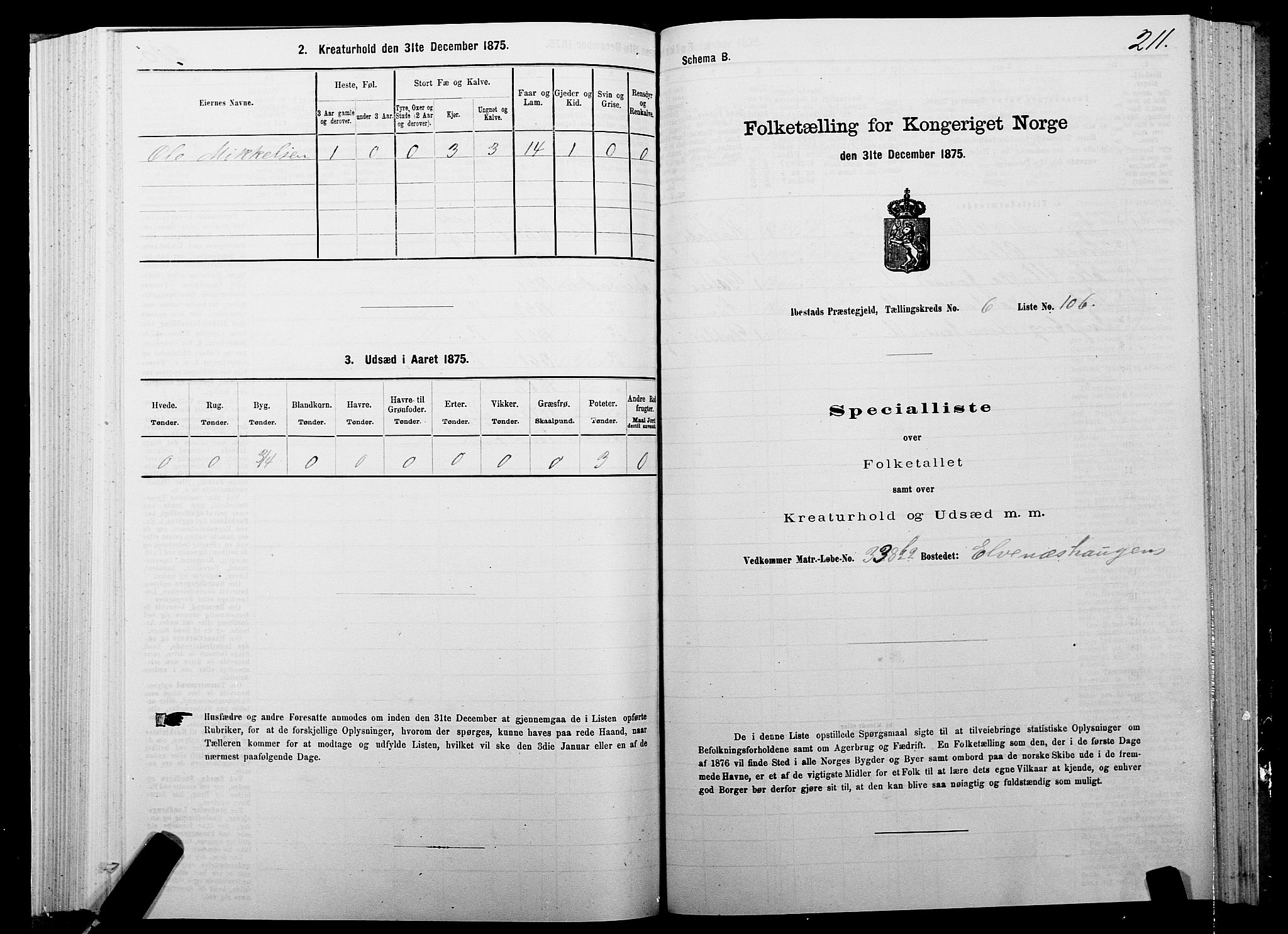 SATØ, 1875 census for 1917P Ibestad, 1875, p. 4211