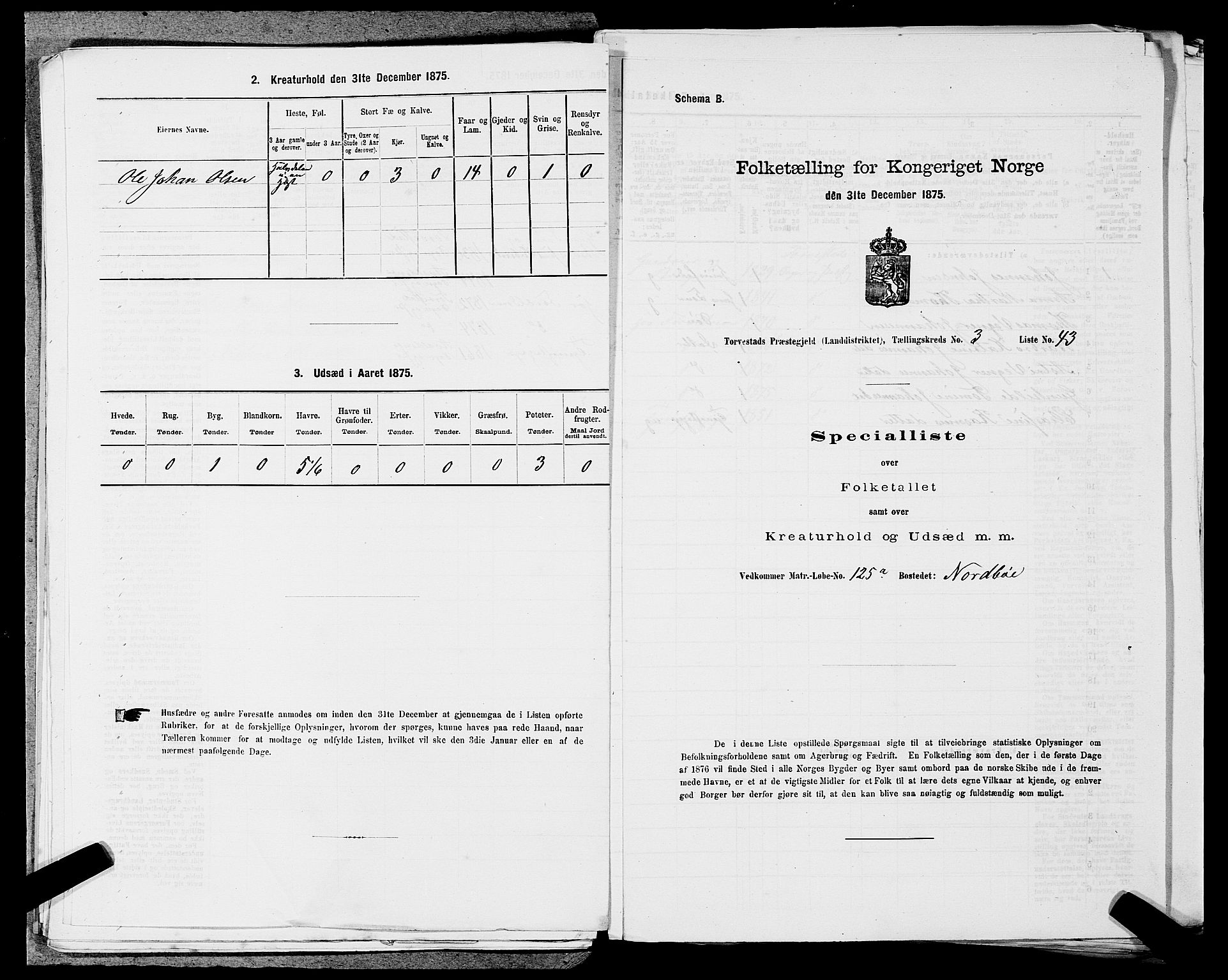 SAST, 1875 census for 1152L Torvastad/Torvastad, Skåre og Utsira, 1875, p. 503